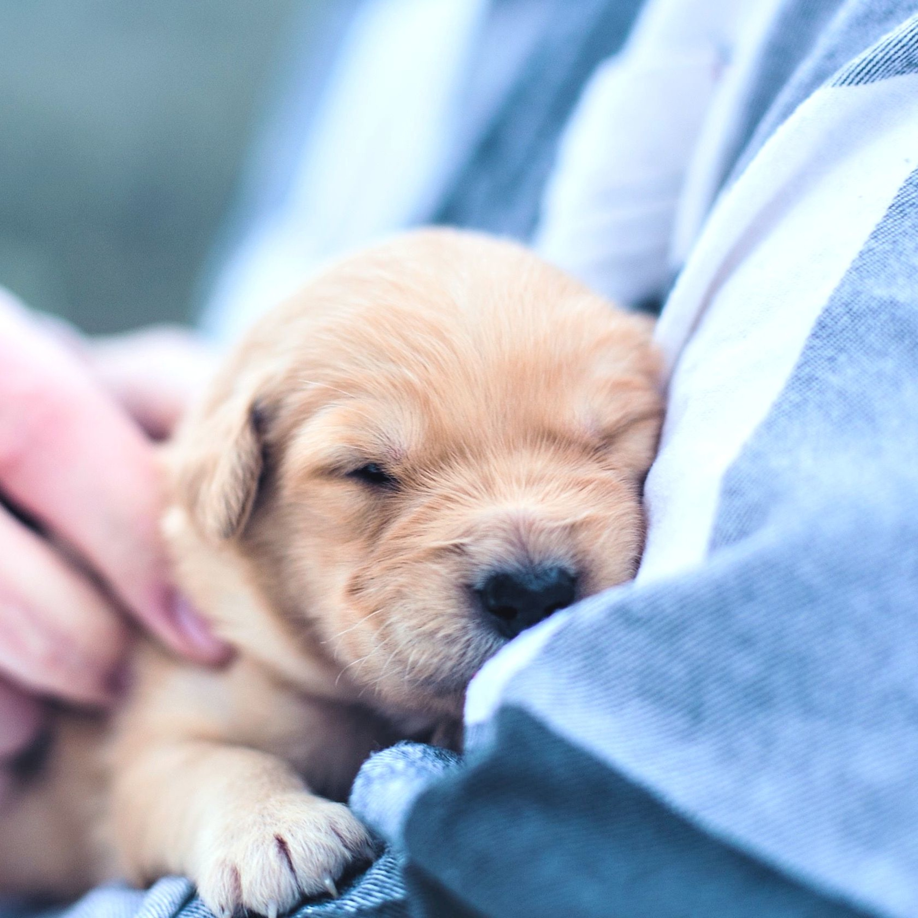14 不安を安心に変える簡単な方法