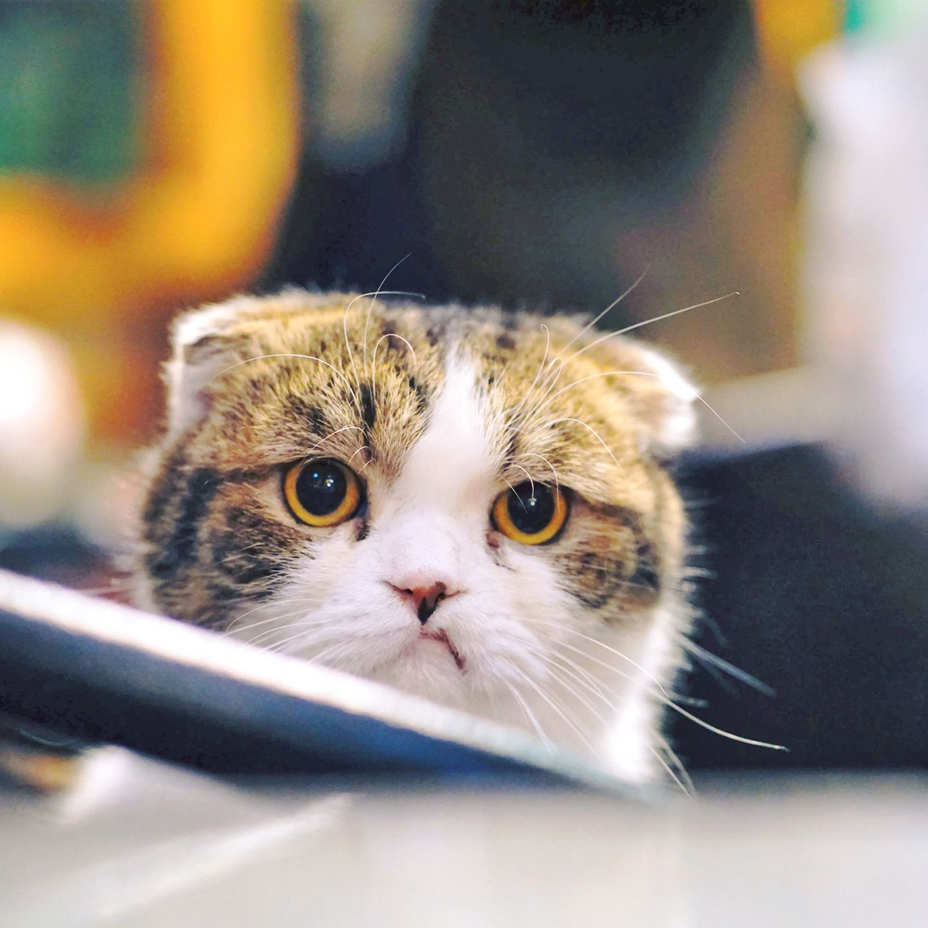 やりたいこと・好きなことをはっきりさせる方法