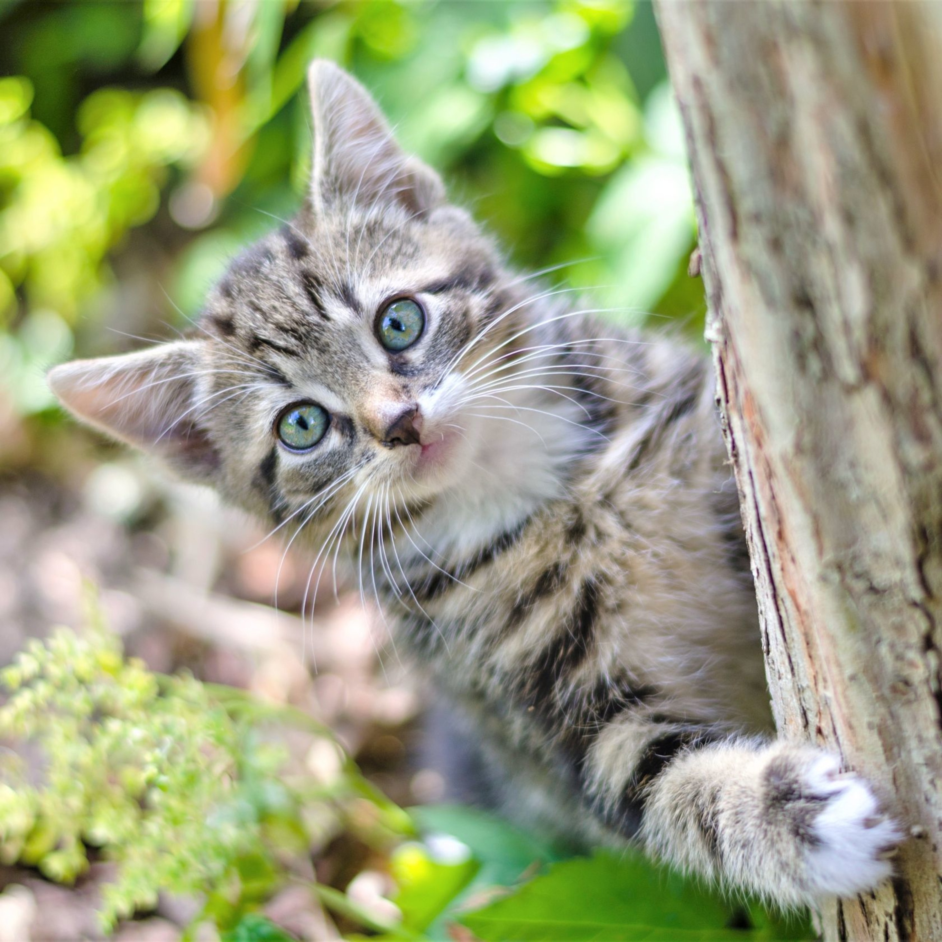 11_起業マインドがなくても、一歩踏み出せますか？