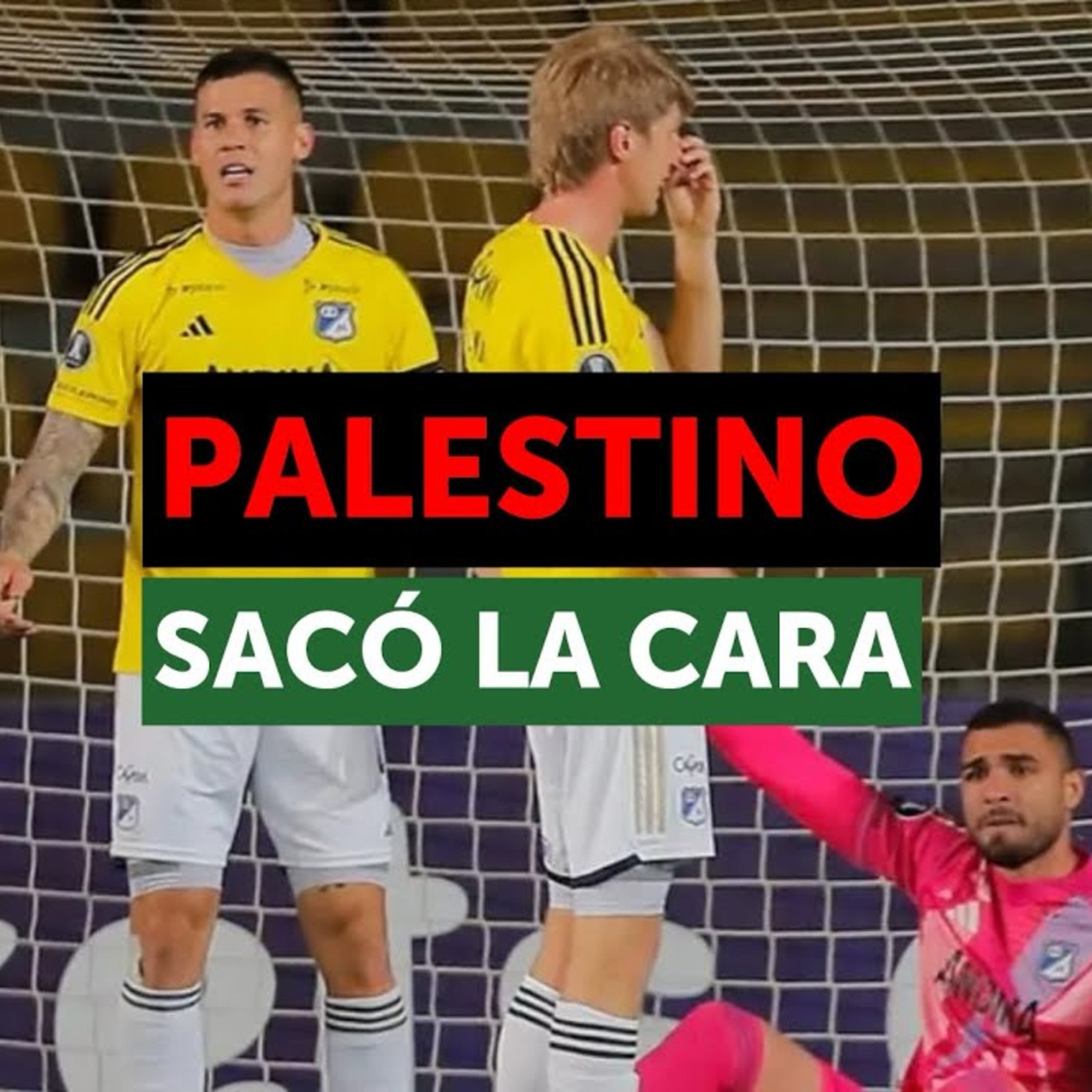 Libertadores: Palestino gana, Cobresal pierde / La U visita al Campeón episode artwork