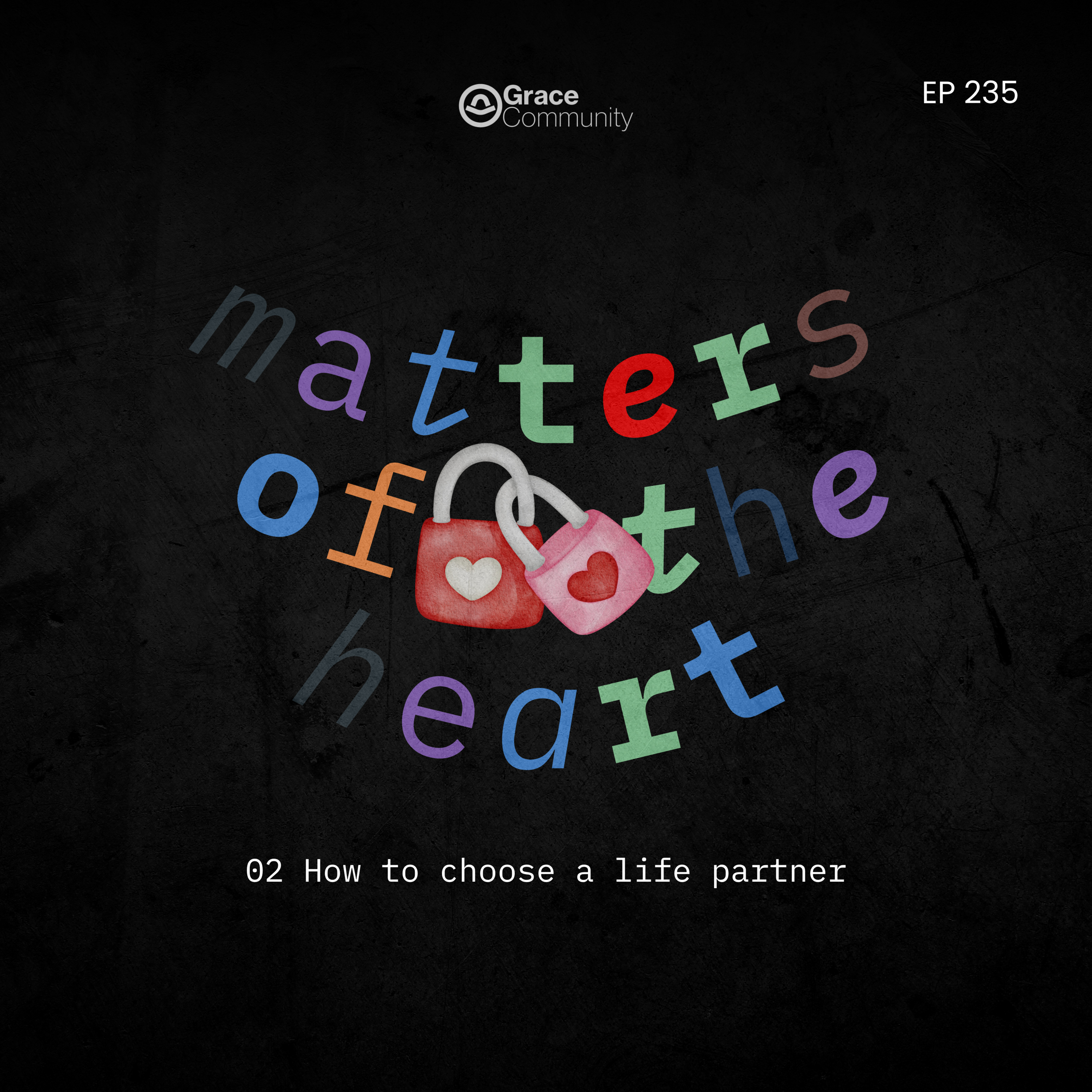 How to choose a life partner episode artwork