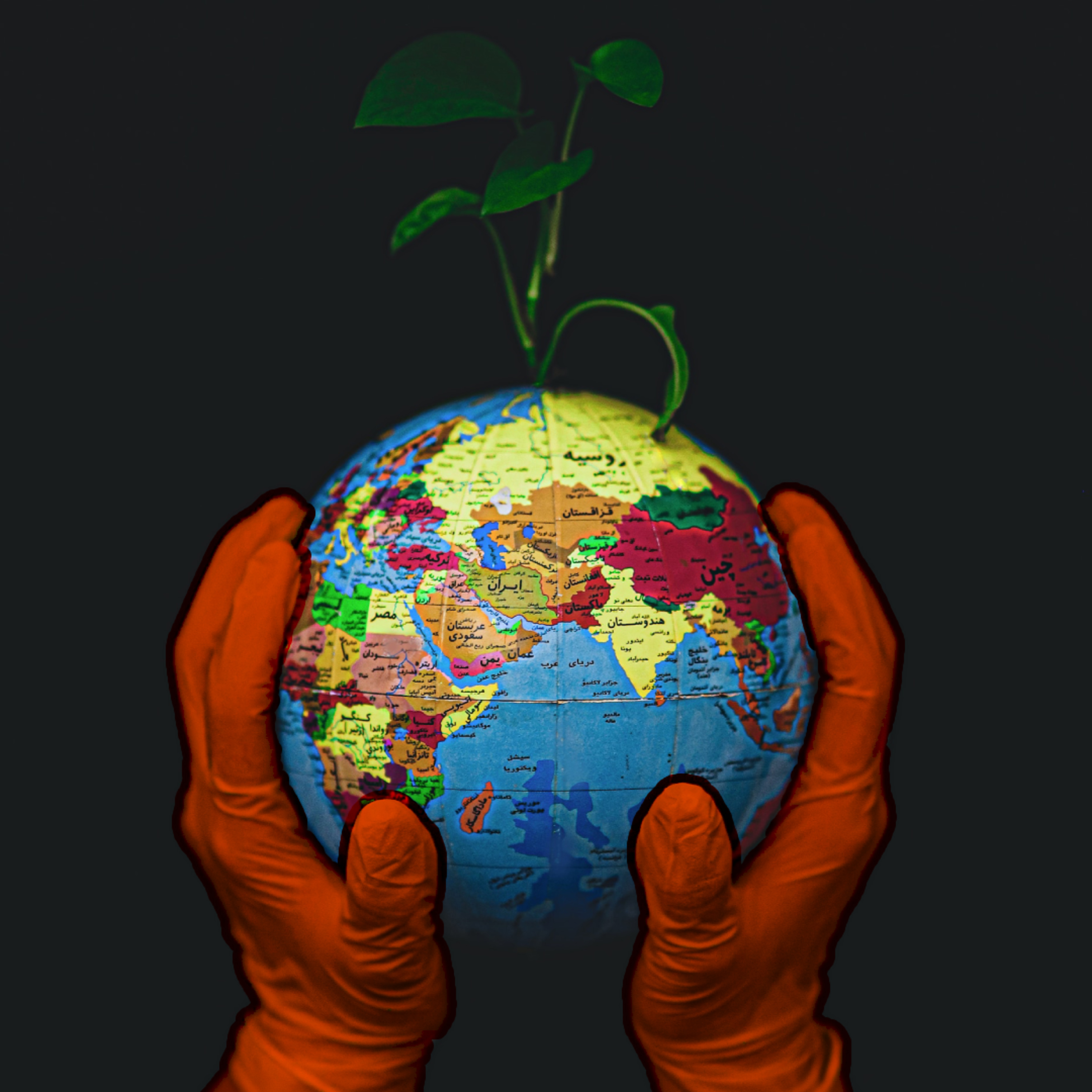 #eco: dr inż. Elżbieta Romanik o etycznym życiu na Ziemi