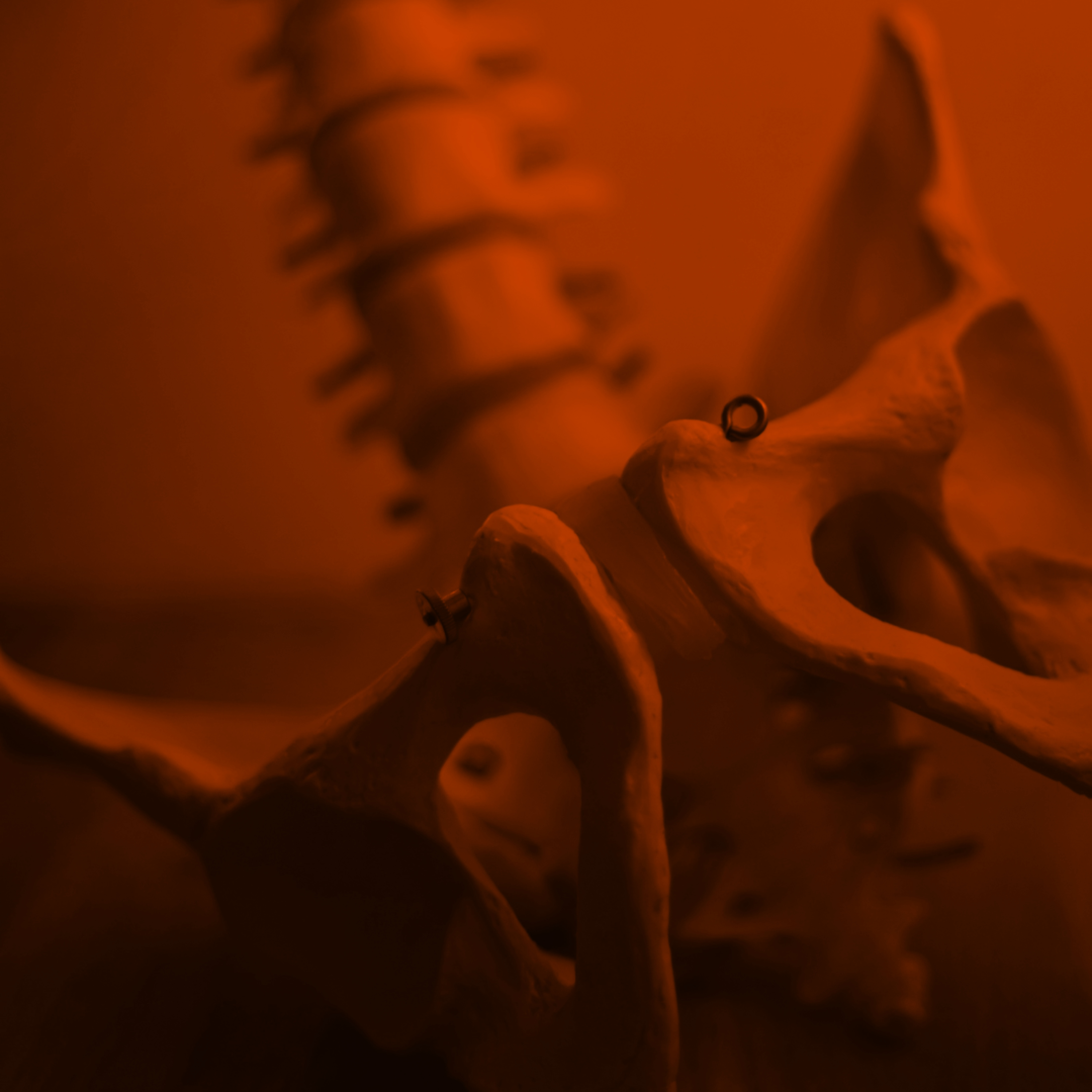 #nauka: Implanty szyte na miarę