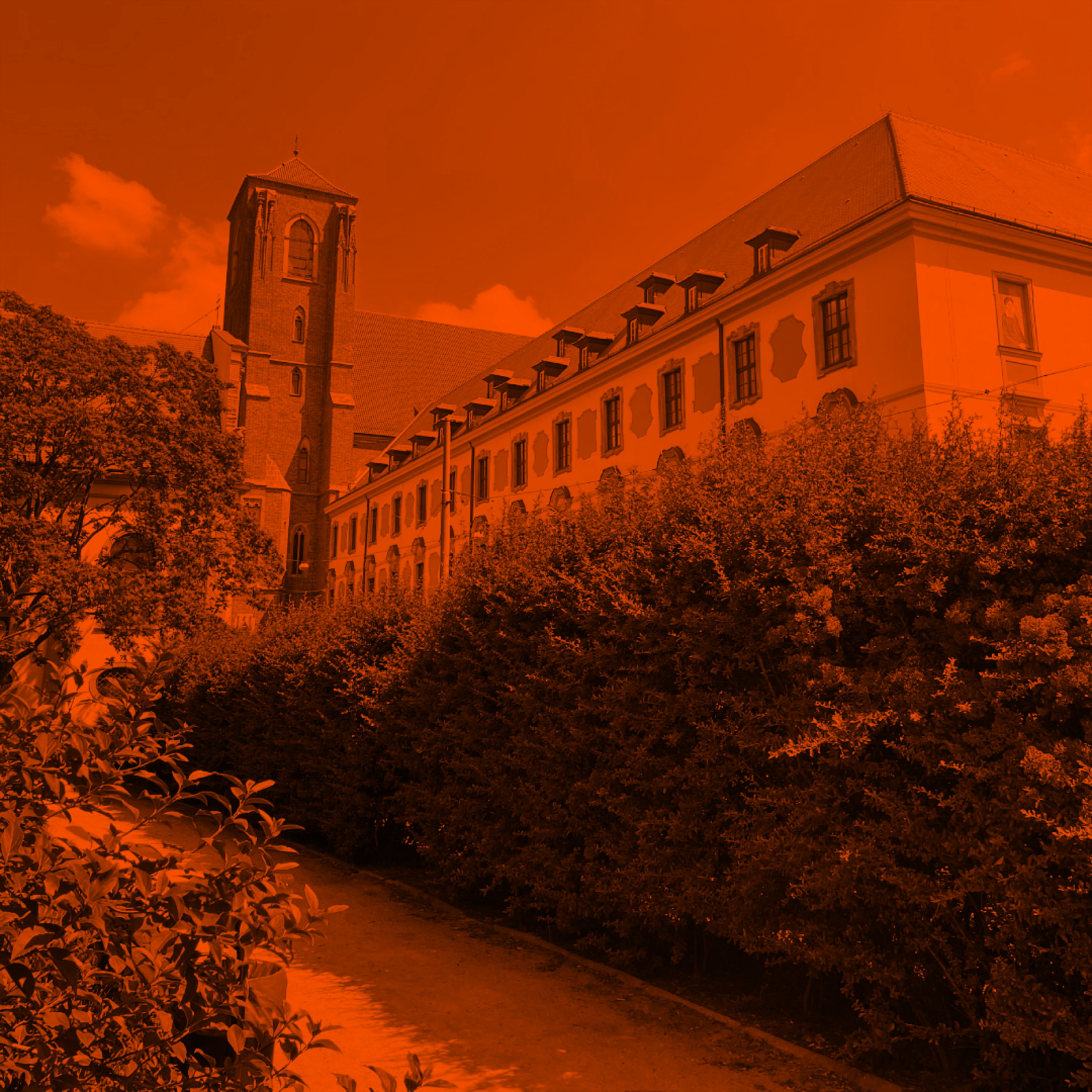 #rozmowa: prof. Marcin Wodziński o bojkocie izraelskich instytucji akademickich