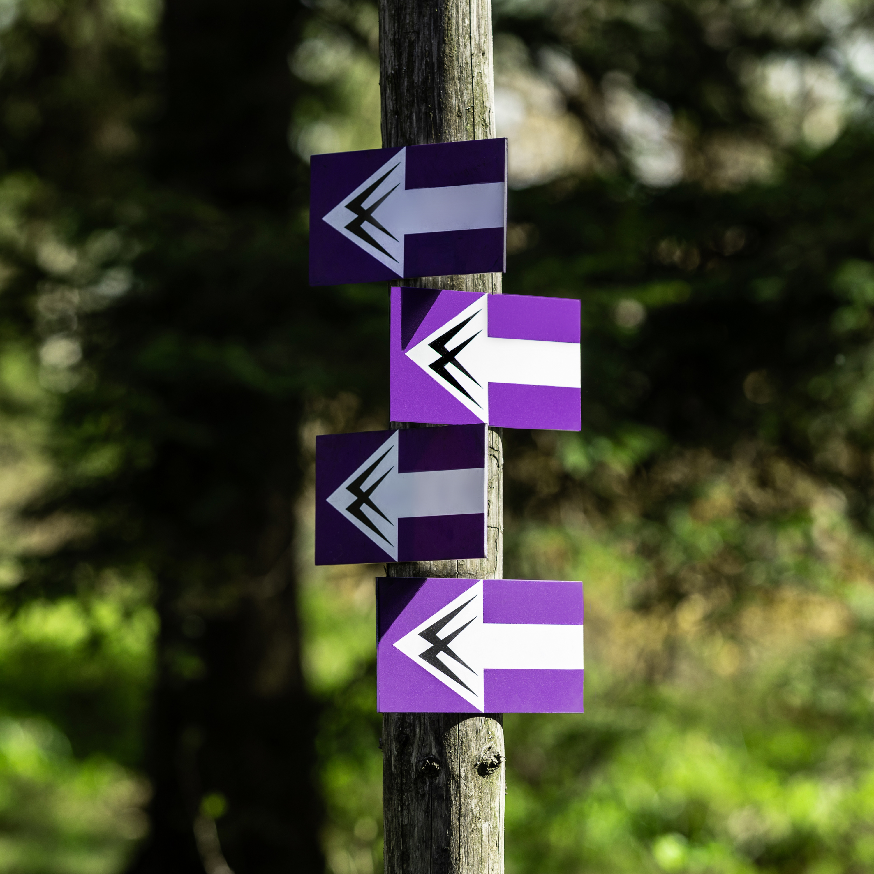 #kultura: Jan Topolski o afrykańskiej nowej fali