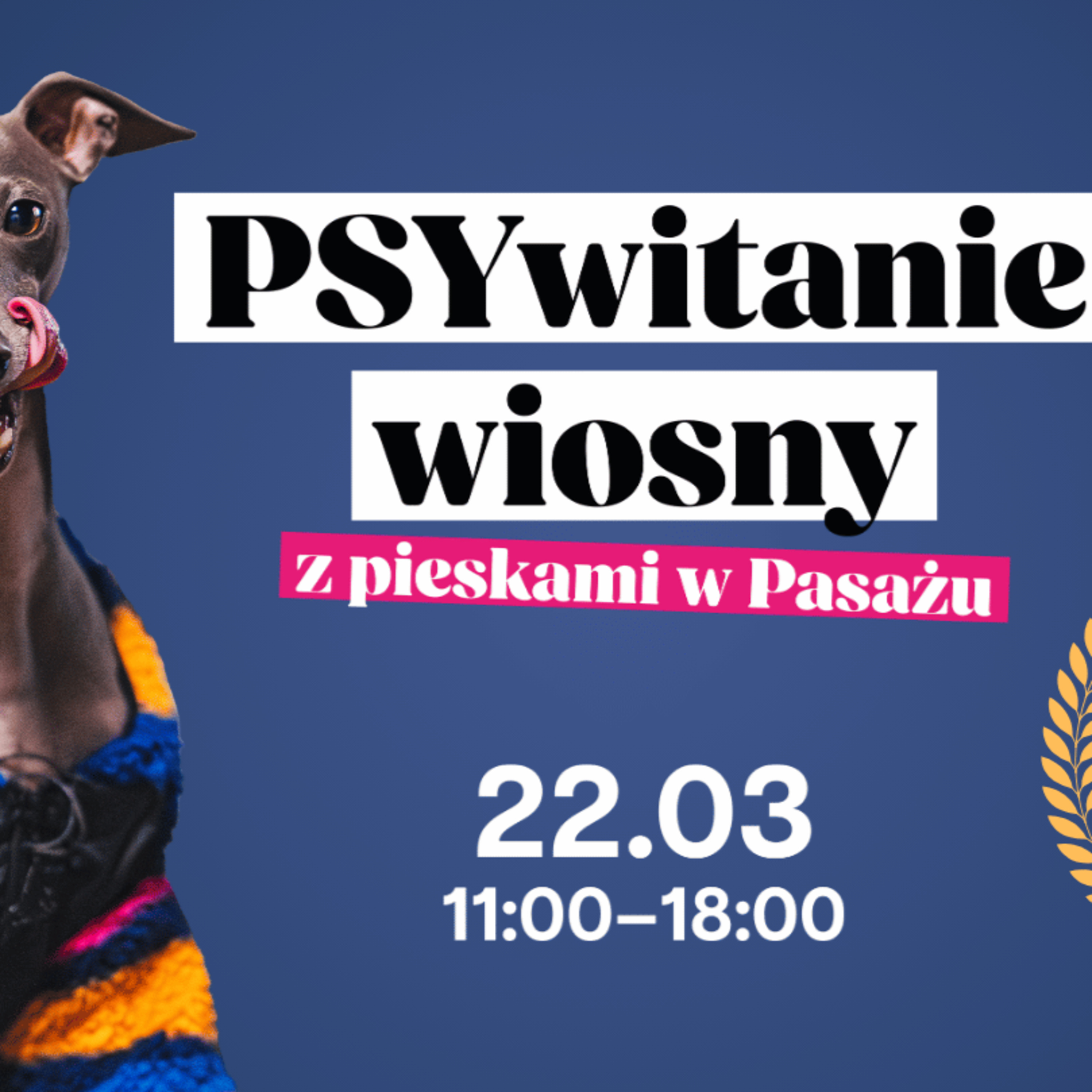 PSYwitanie wiosny – z pieskami w Pasażu Grunwaldzkim