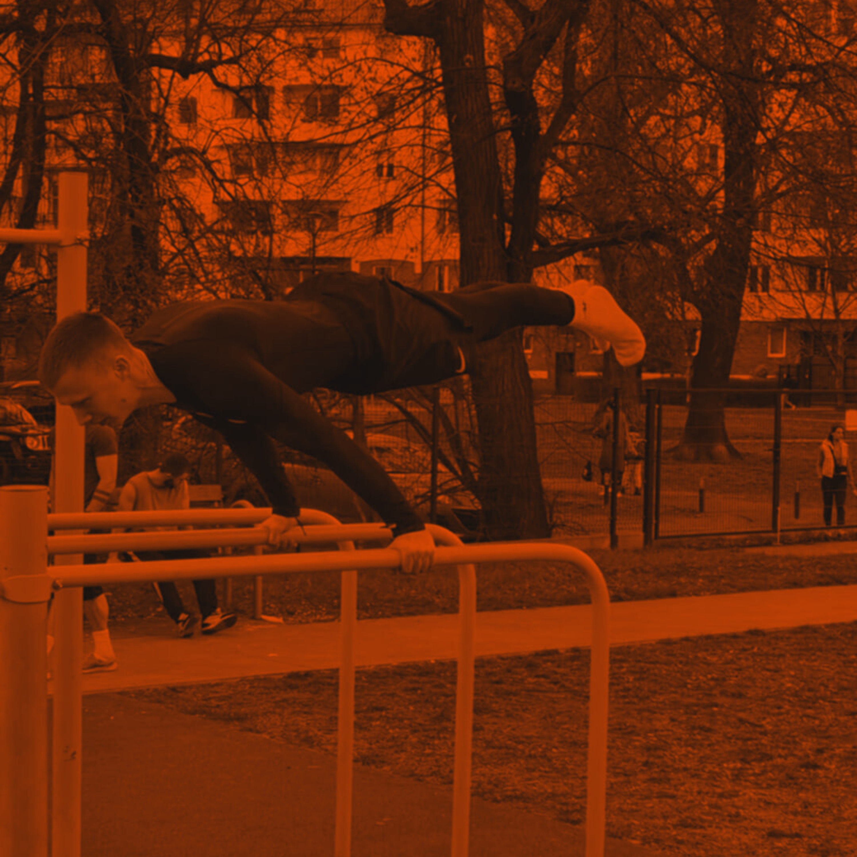 Aleksander Krupiński o kalistenice