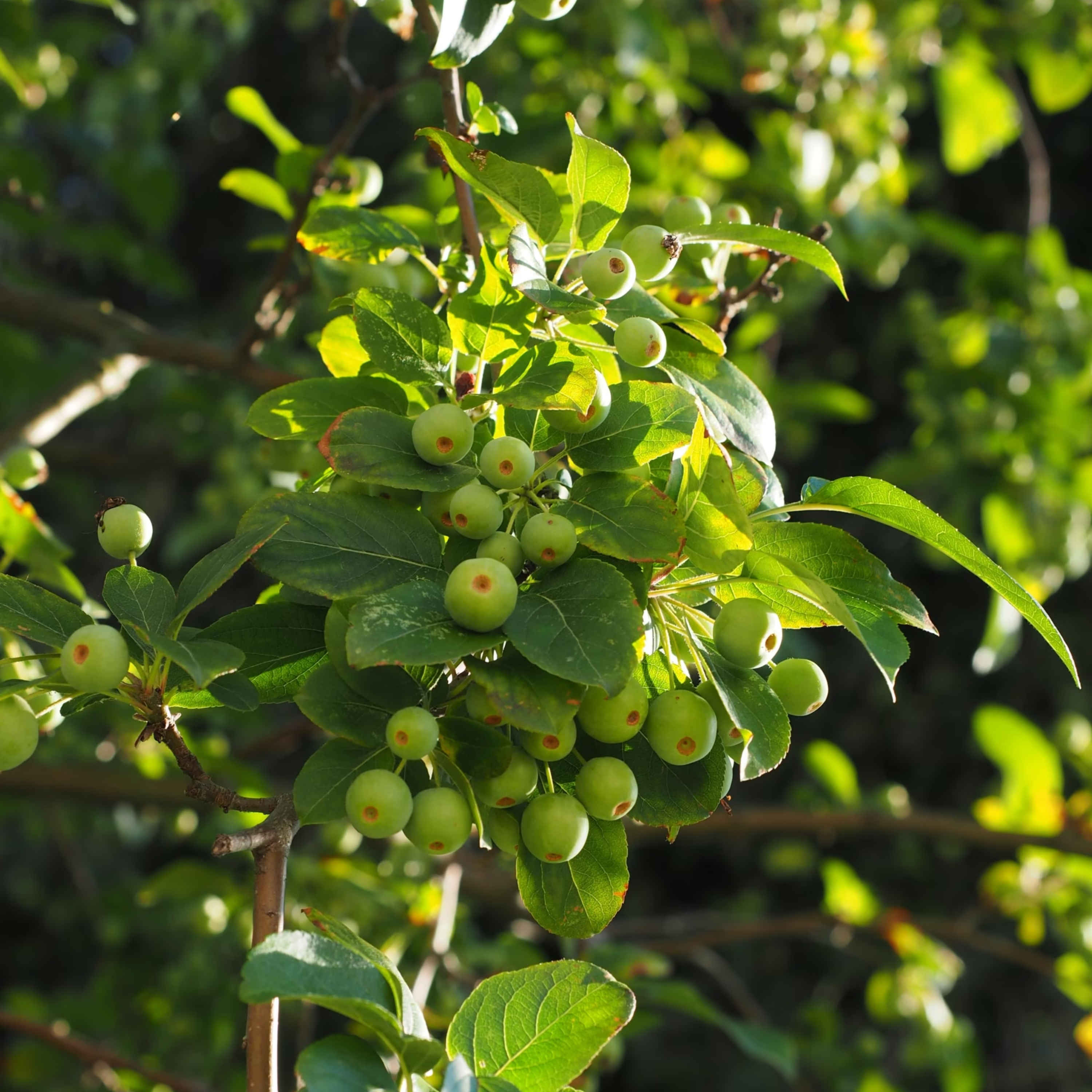 "Postęp a Sezony w Parku" - rusza druga edycja programu!