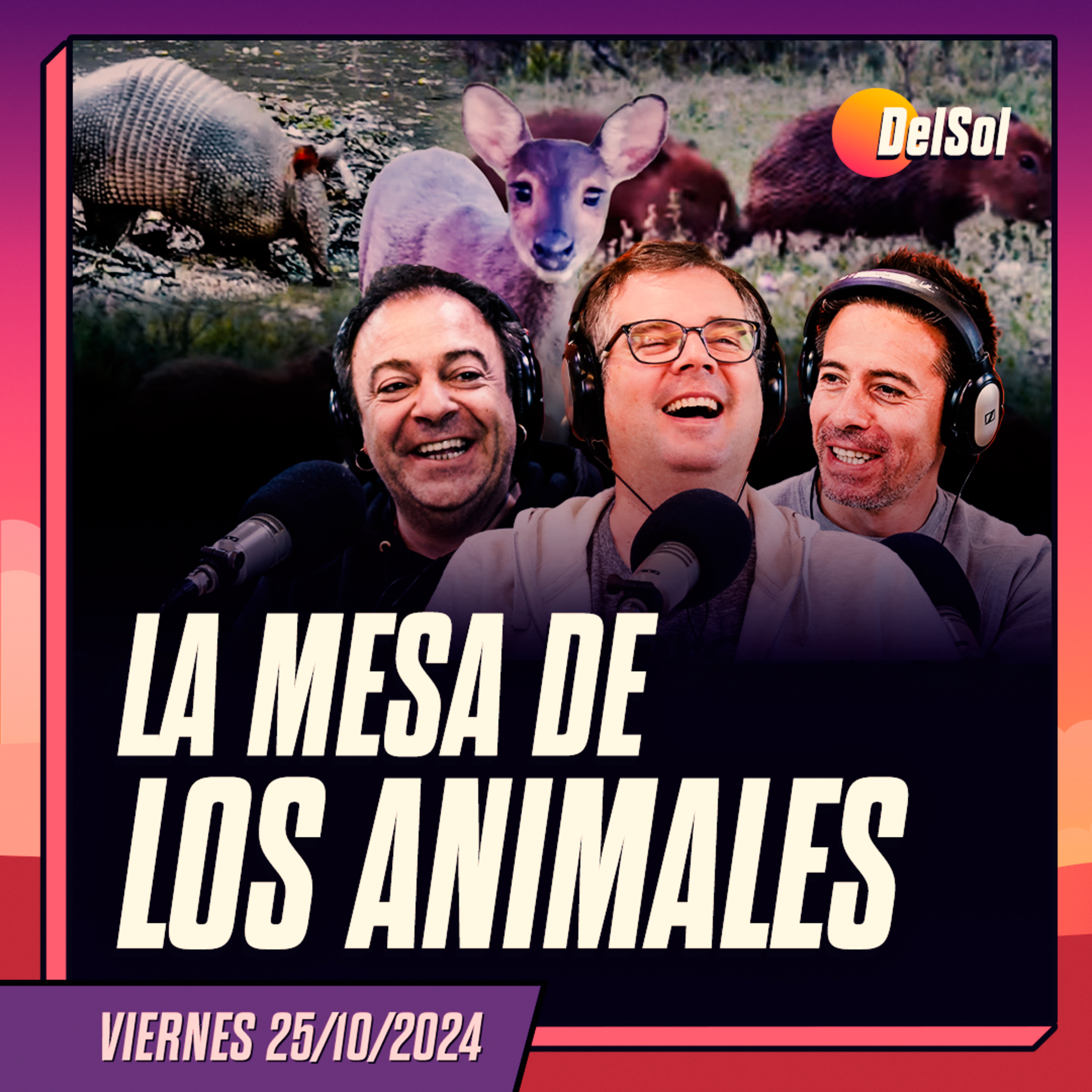 Portada de DelSol 99.5 FM