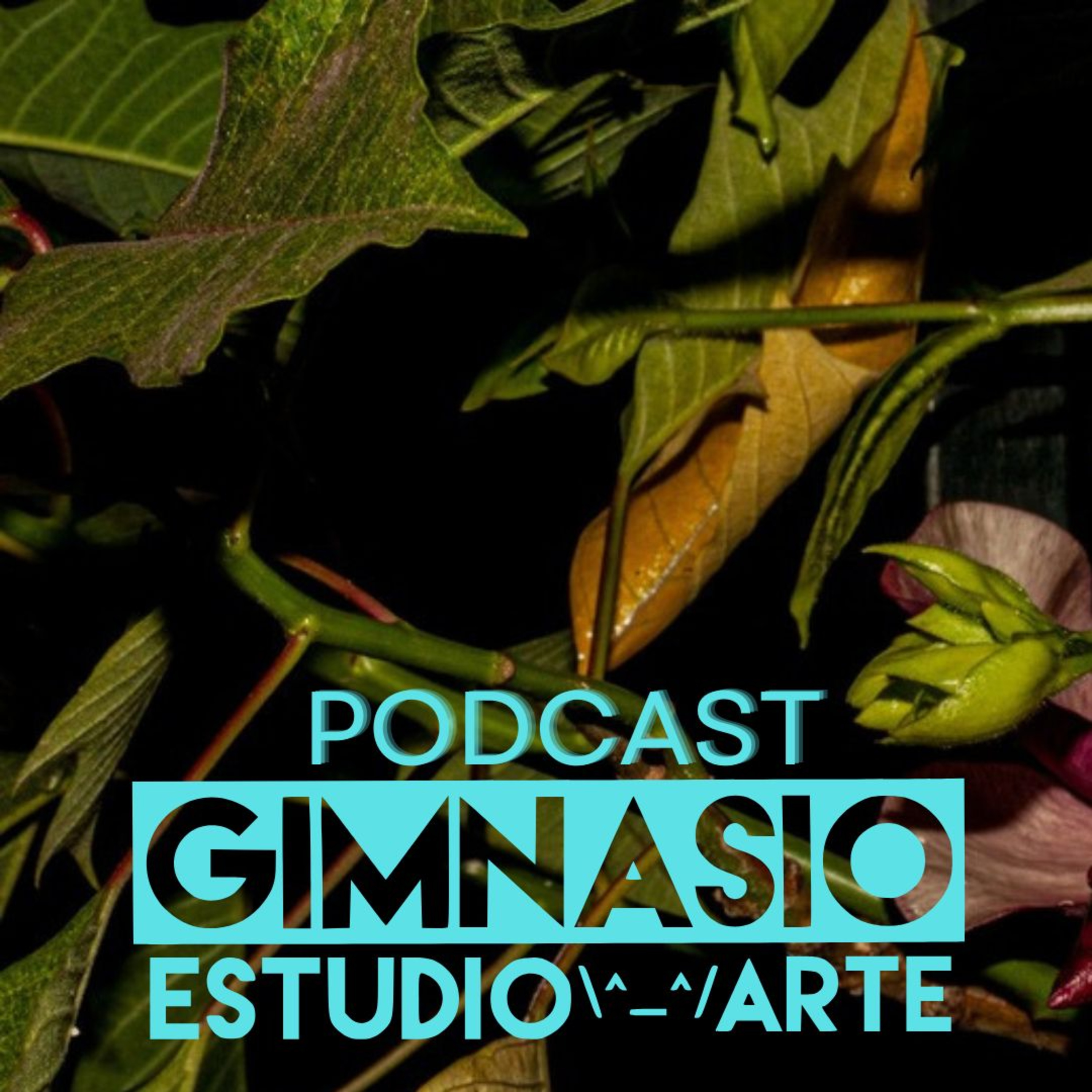 Gimnasio de Arte Podcast