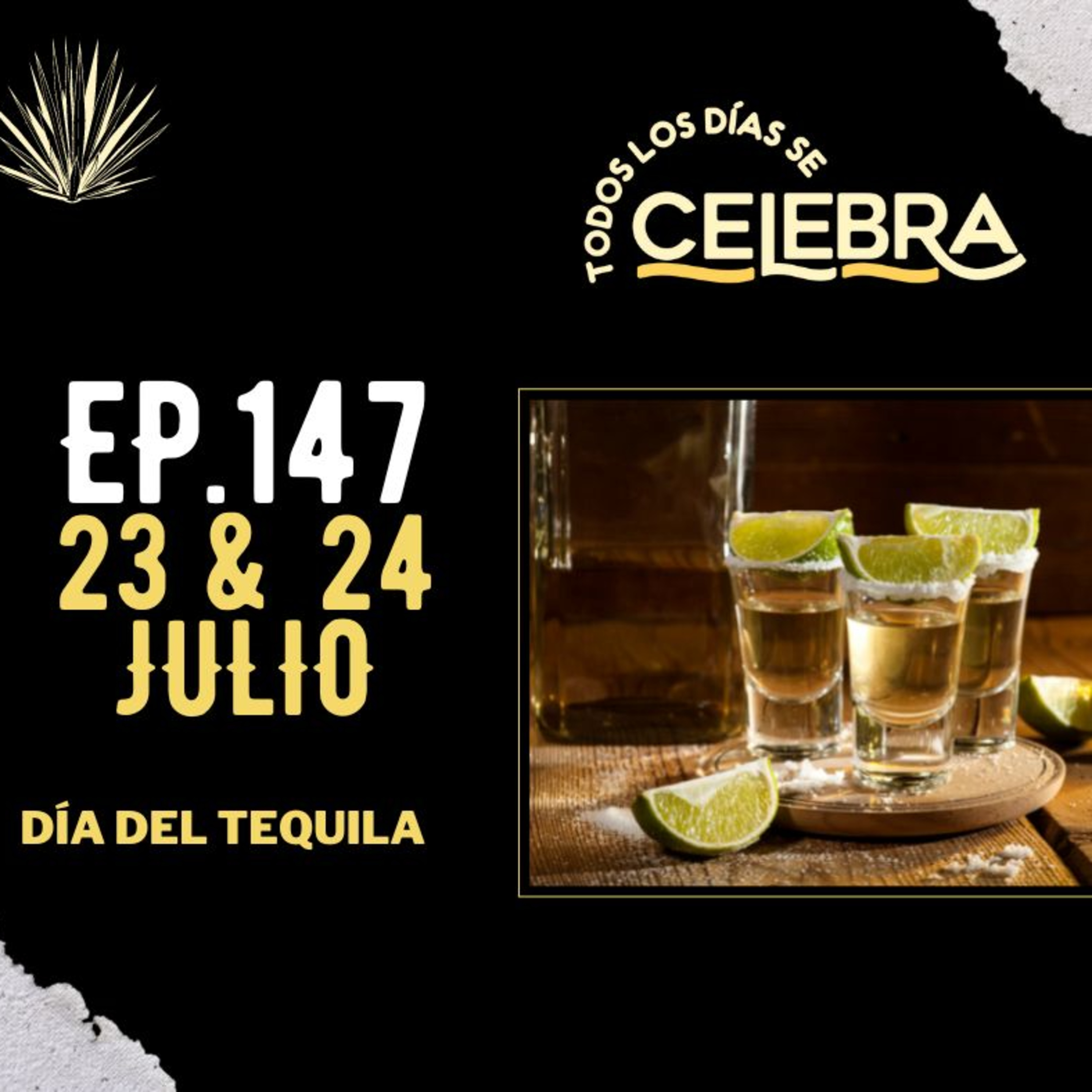 Todos Los Días Se Celebra