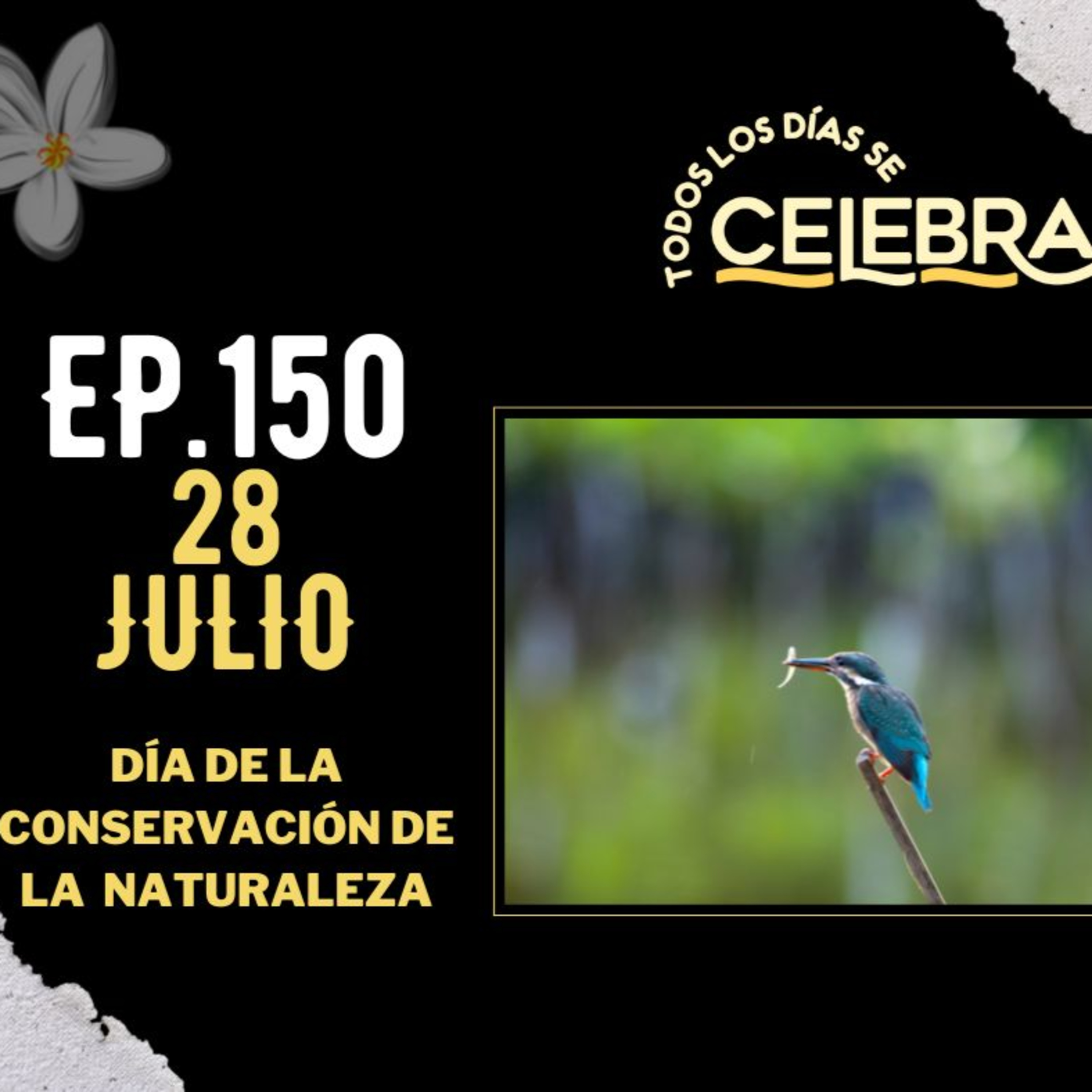 Todos Los Días Se Celebra