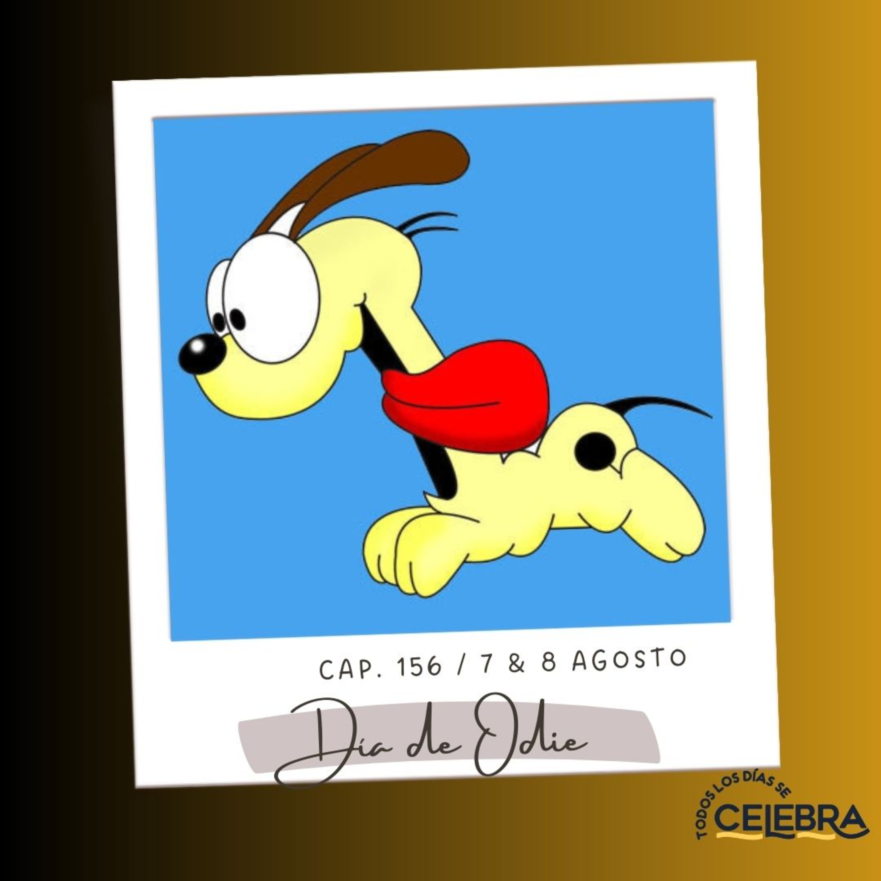 Todos Los Días Se Celebra