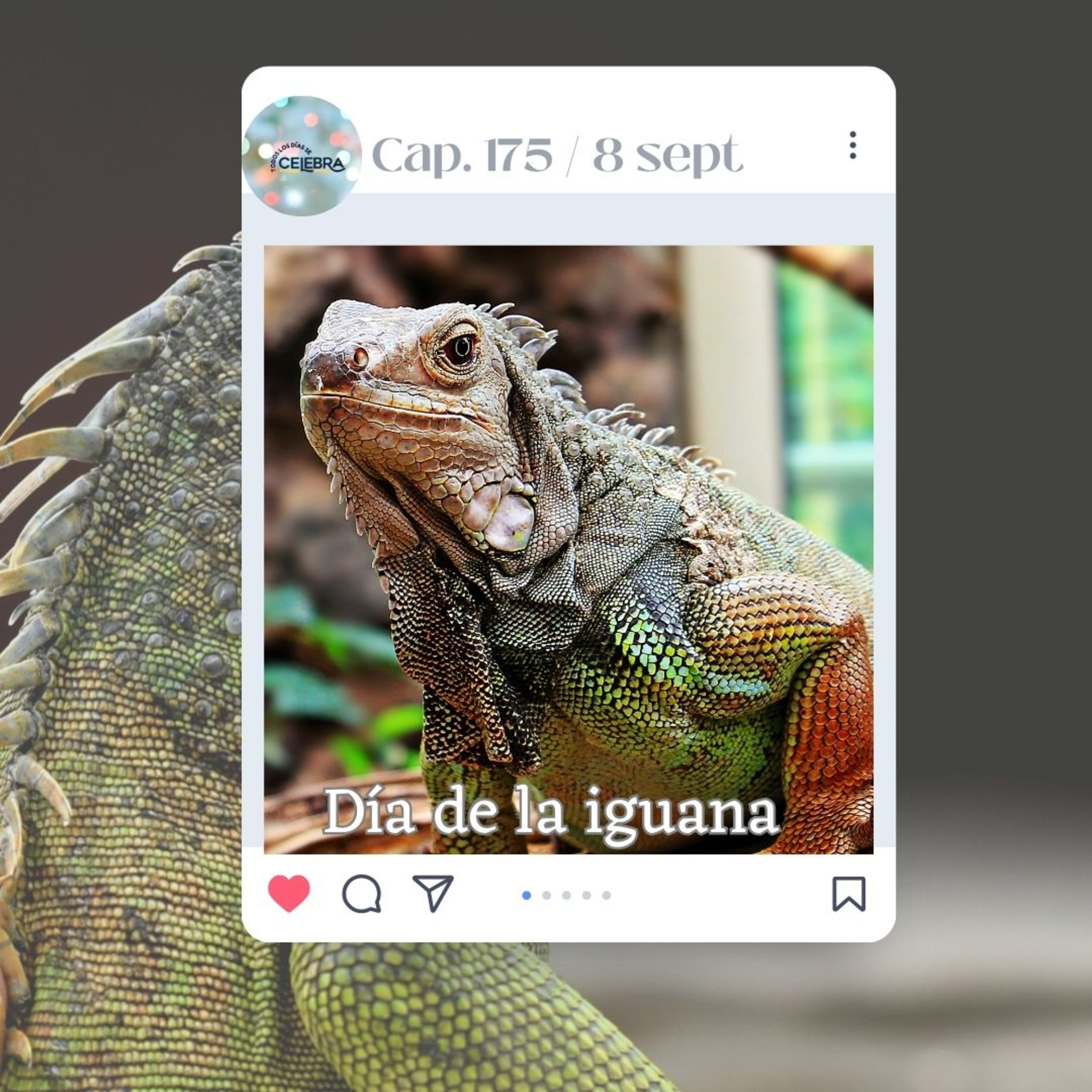 Todos Los Días Se Celebra