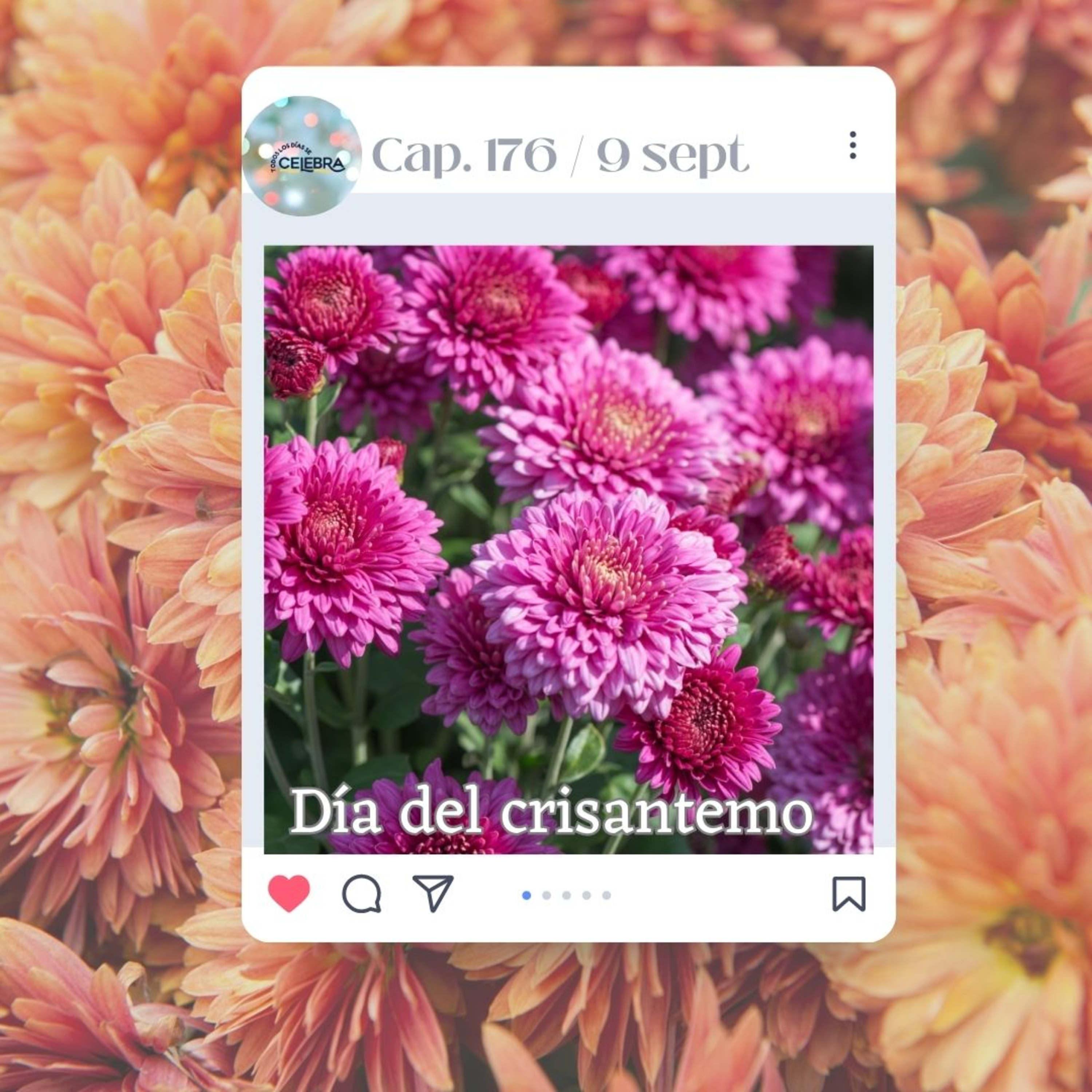 Todos Los Días Se Celebra