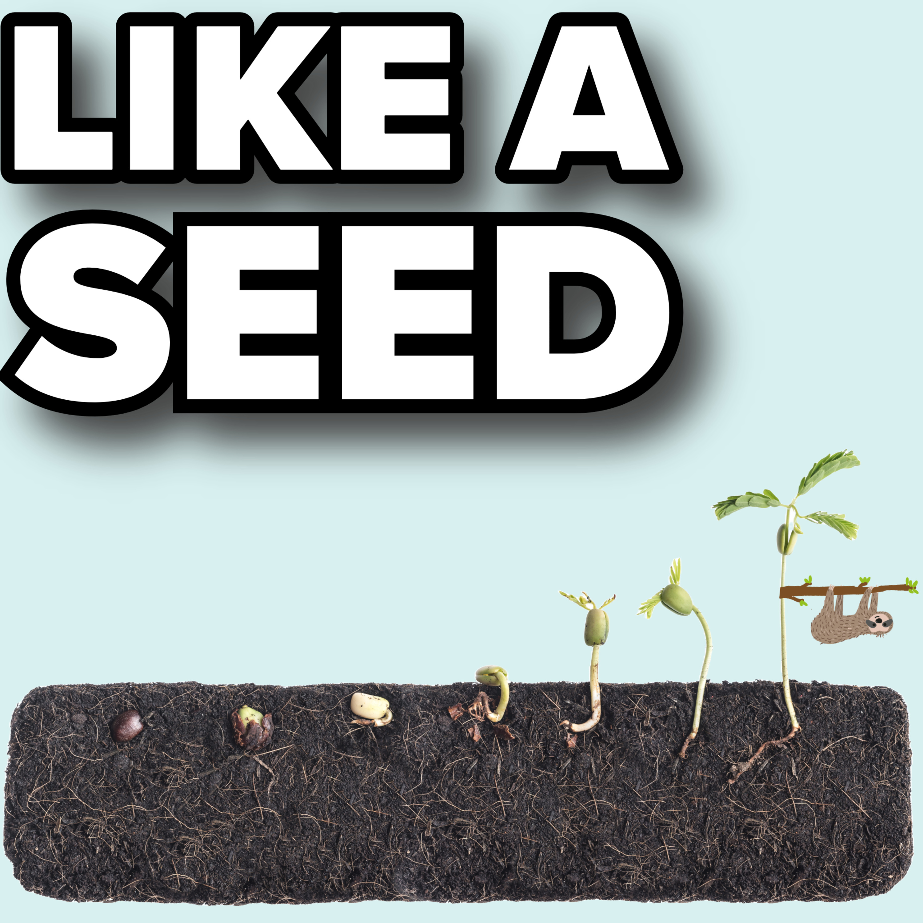 Like a Seed episode artwork