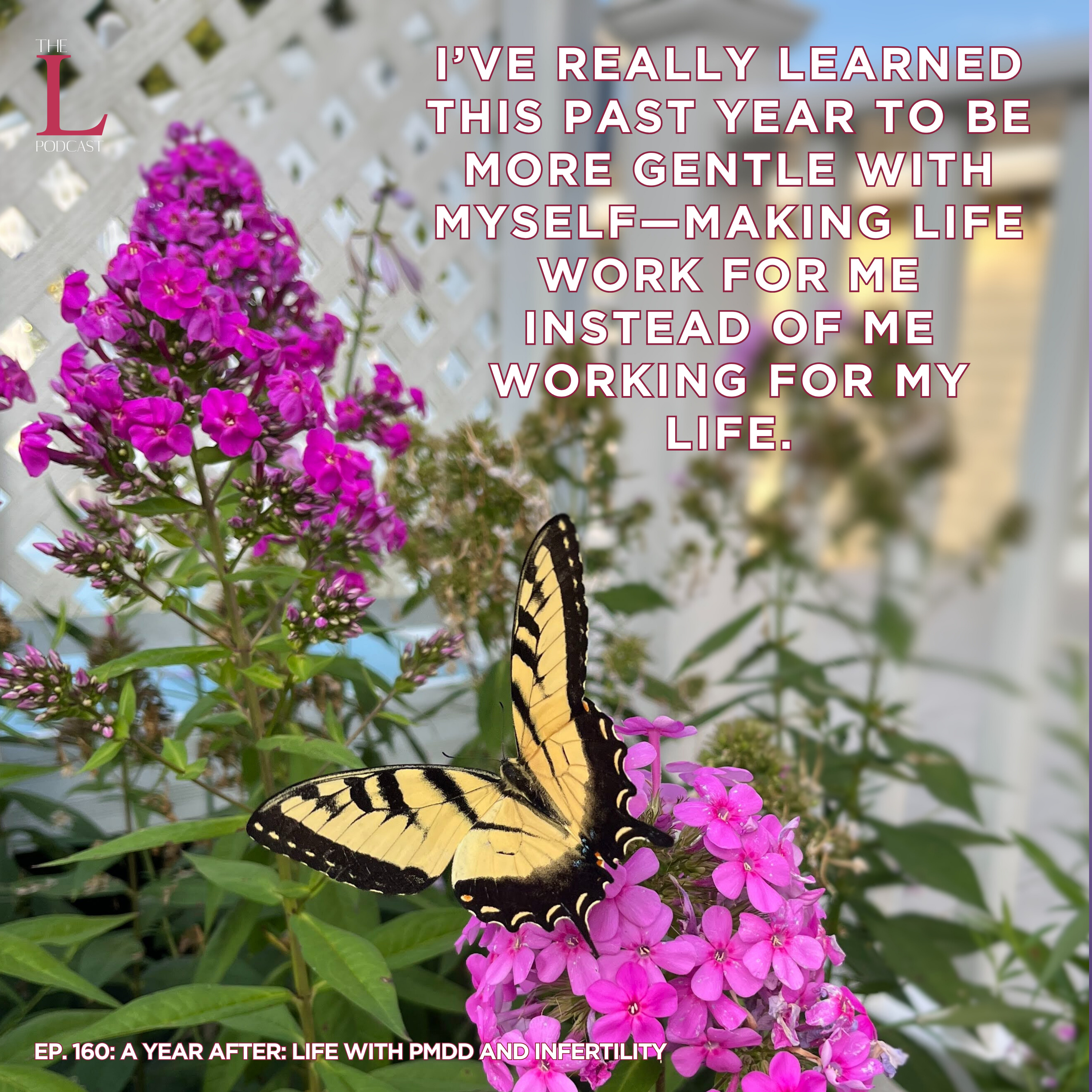 Ep. 160: A Year After: Life With PMDD And Infertility episode artwork