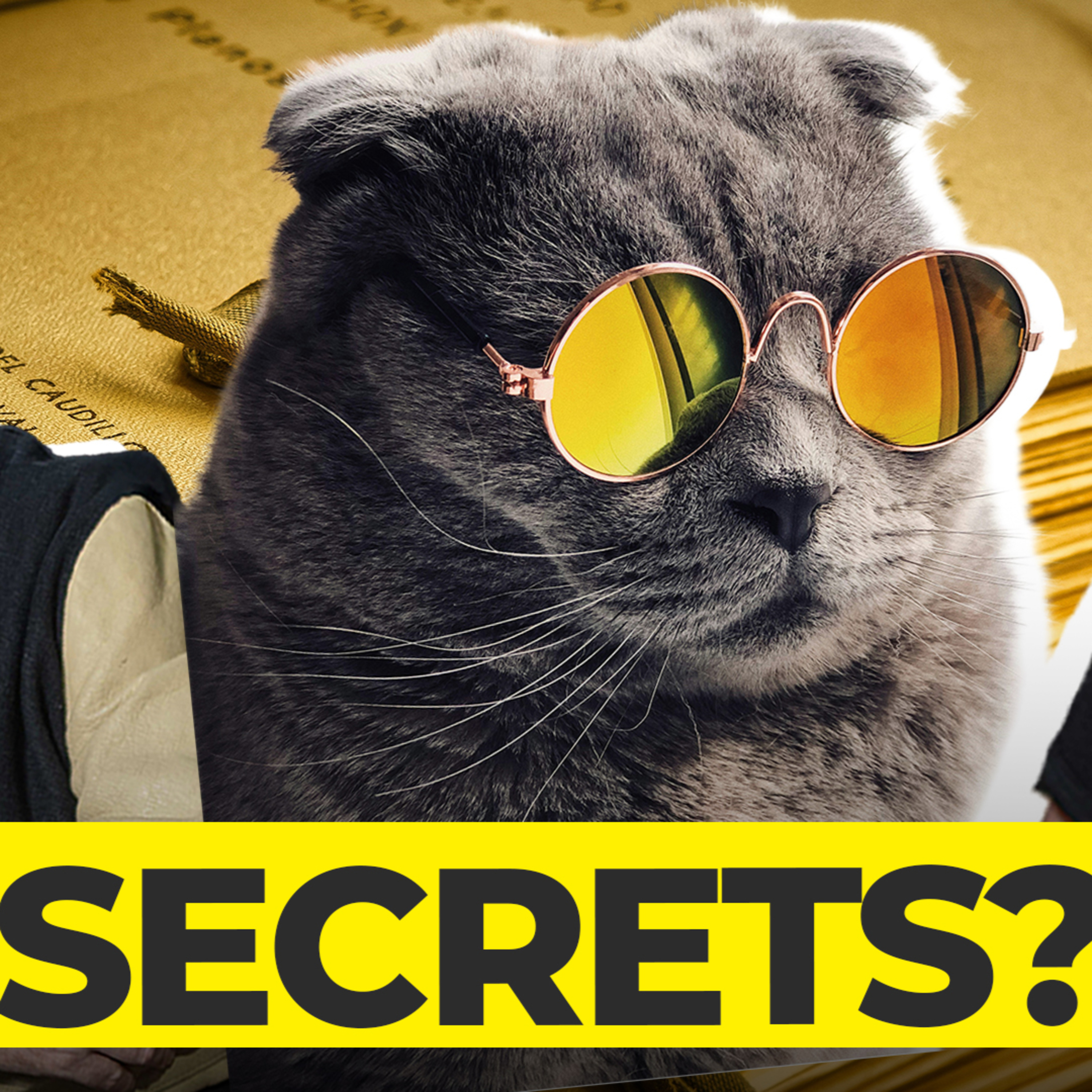 Cats, Cover-Ups and Government Secrets episode artwork
