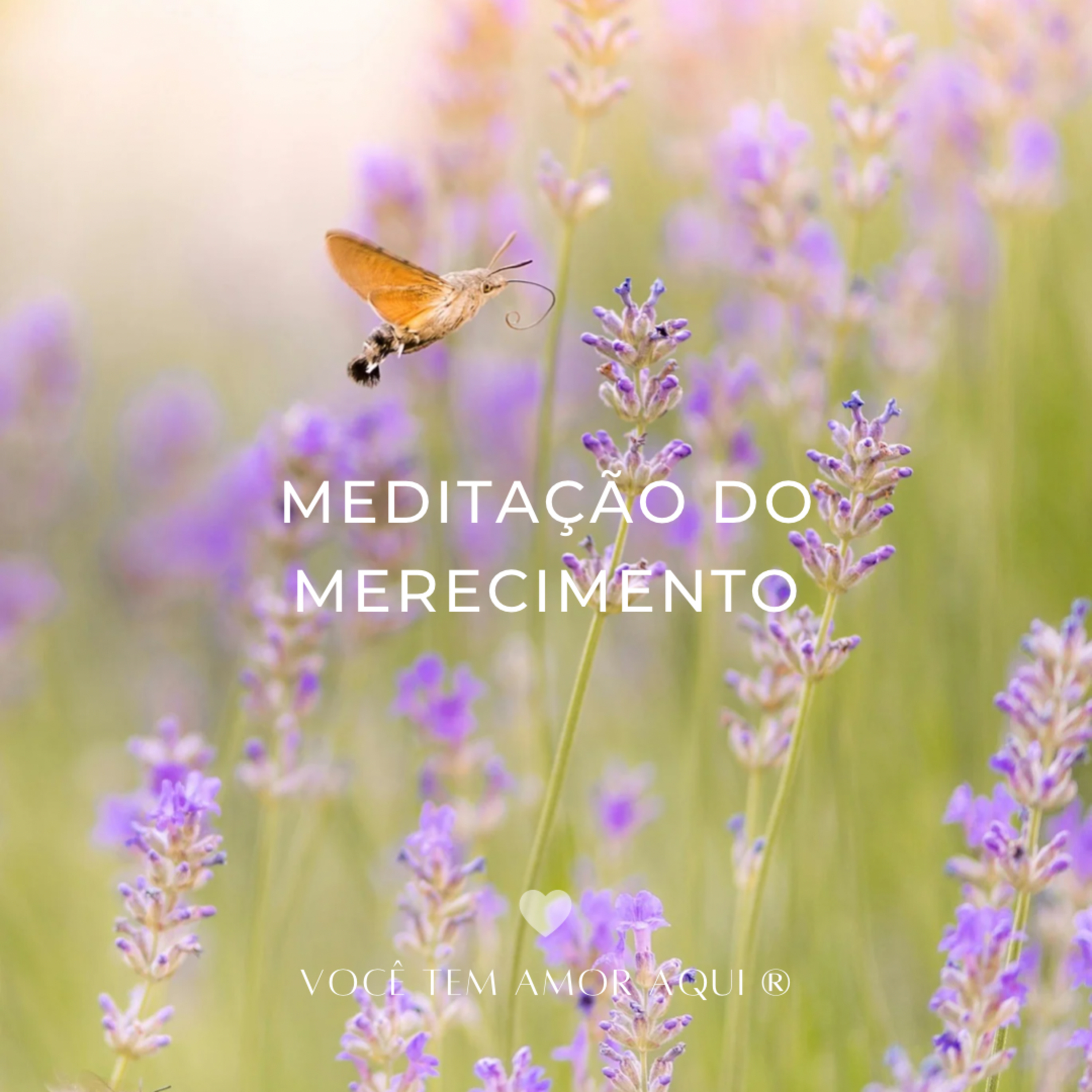 Meditação do Merecimento  episode artwork
