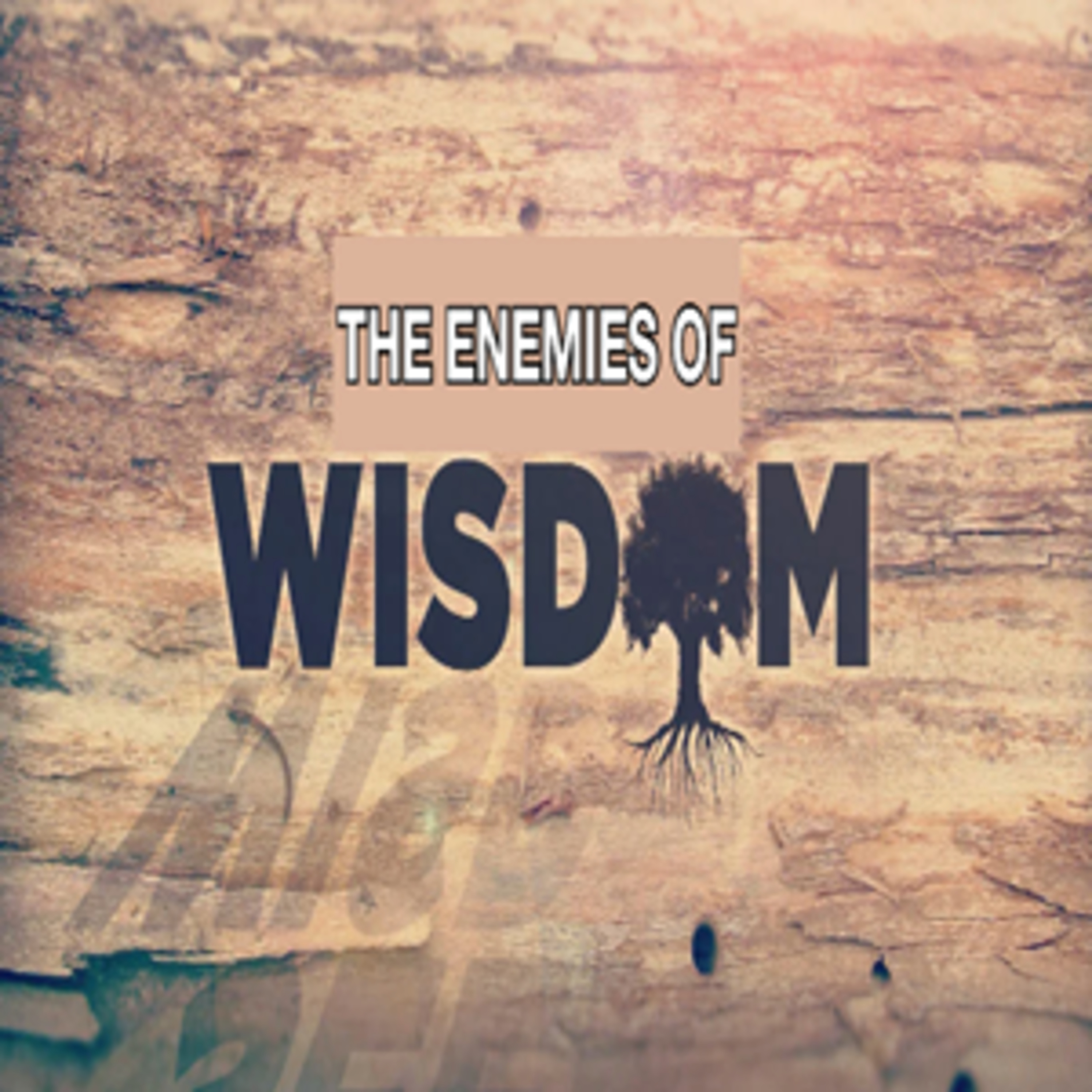 07-29-26 Pastor Carver The Enemies Of Wisdom episode artwork