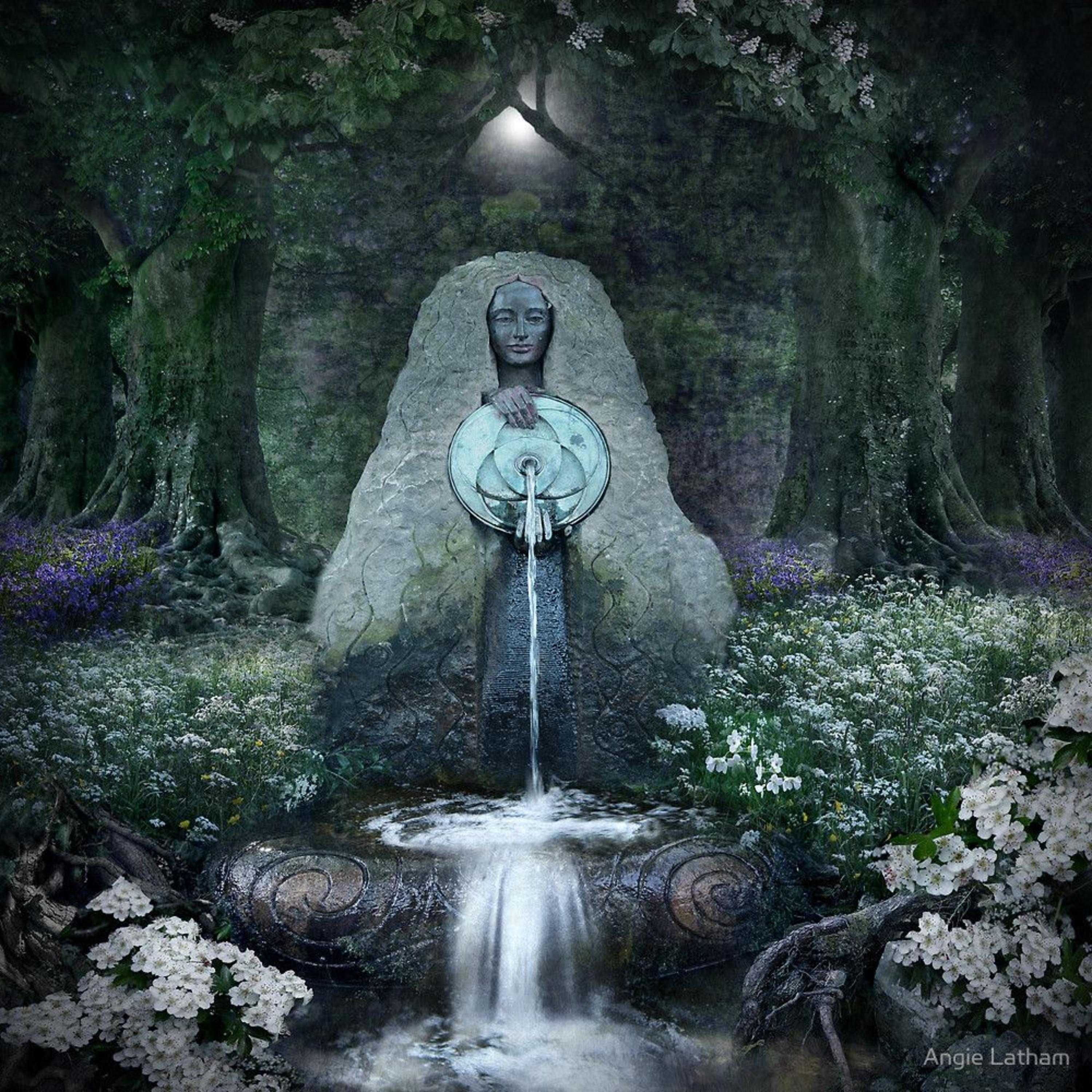 Mystic Grove