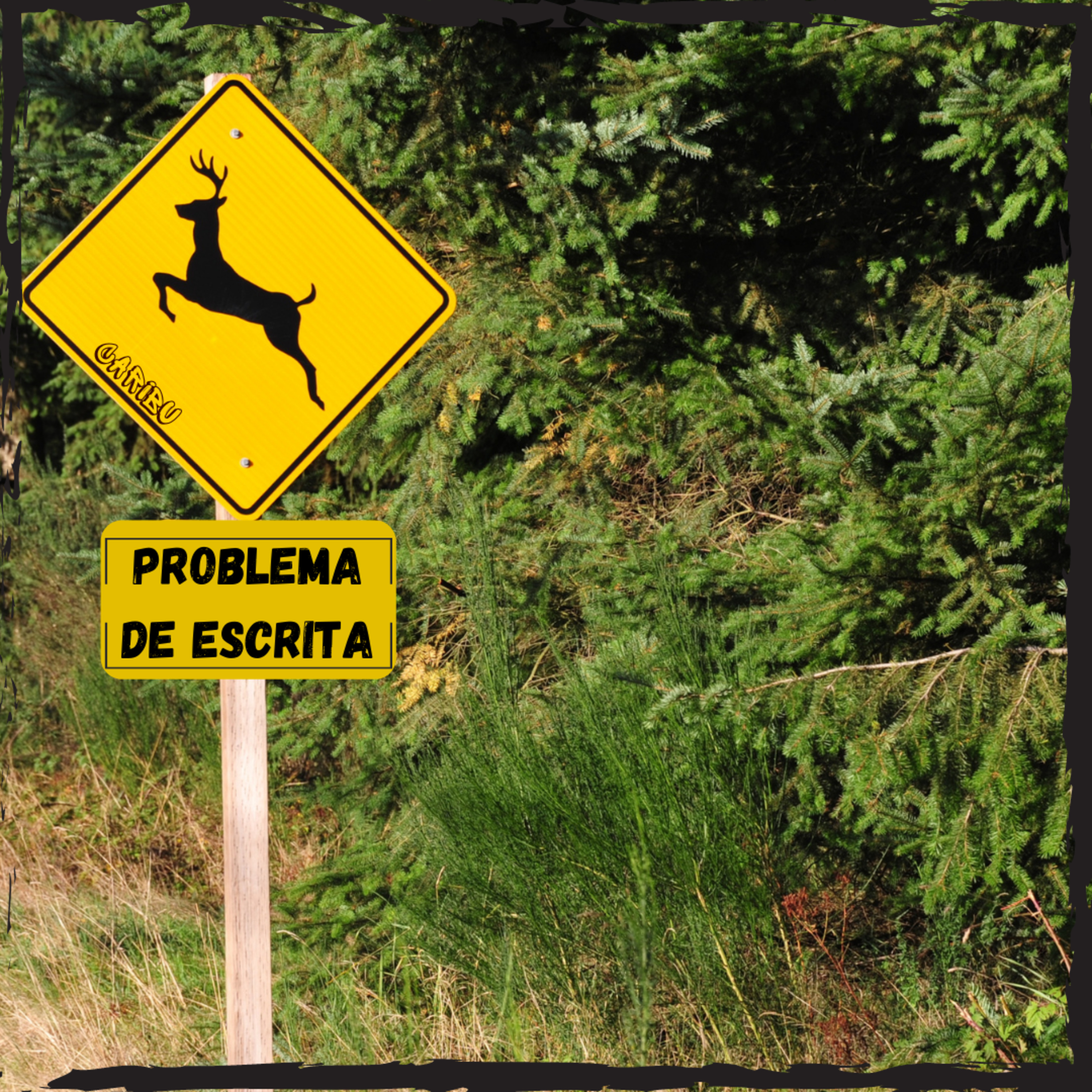 Problema de escrita episode artwork