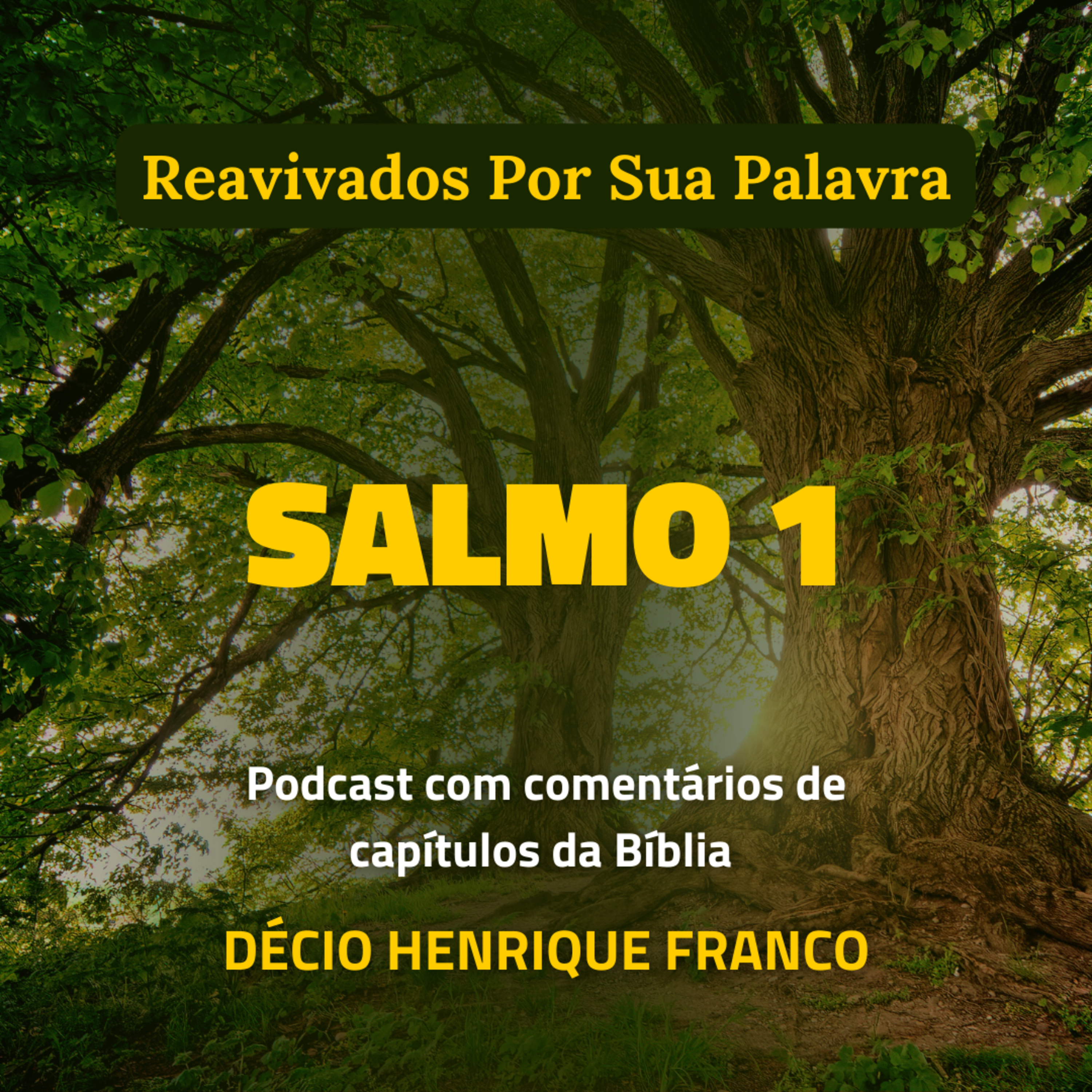 Salmo 1 Reavivados Por Sua Palavra #rpsp Podcast com comentários de capítulos da Bíblia. Décio Henrique Franco episode artwork