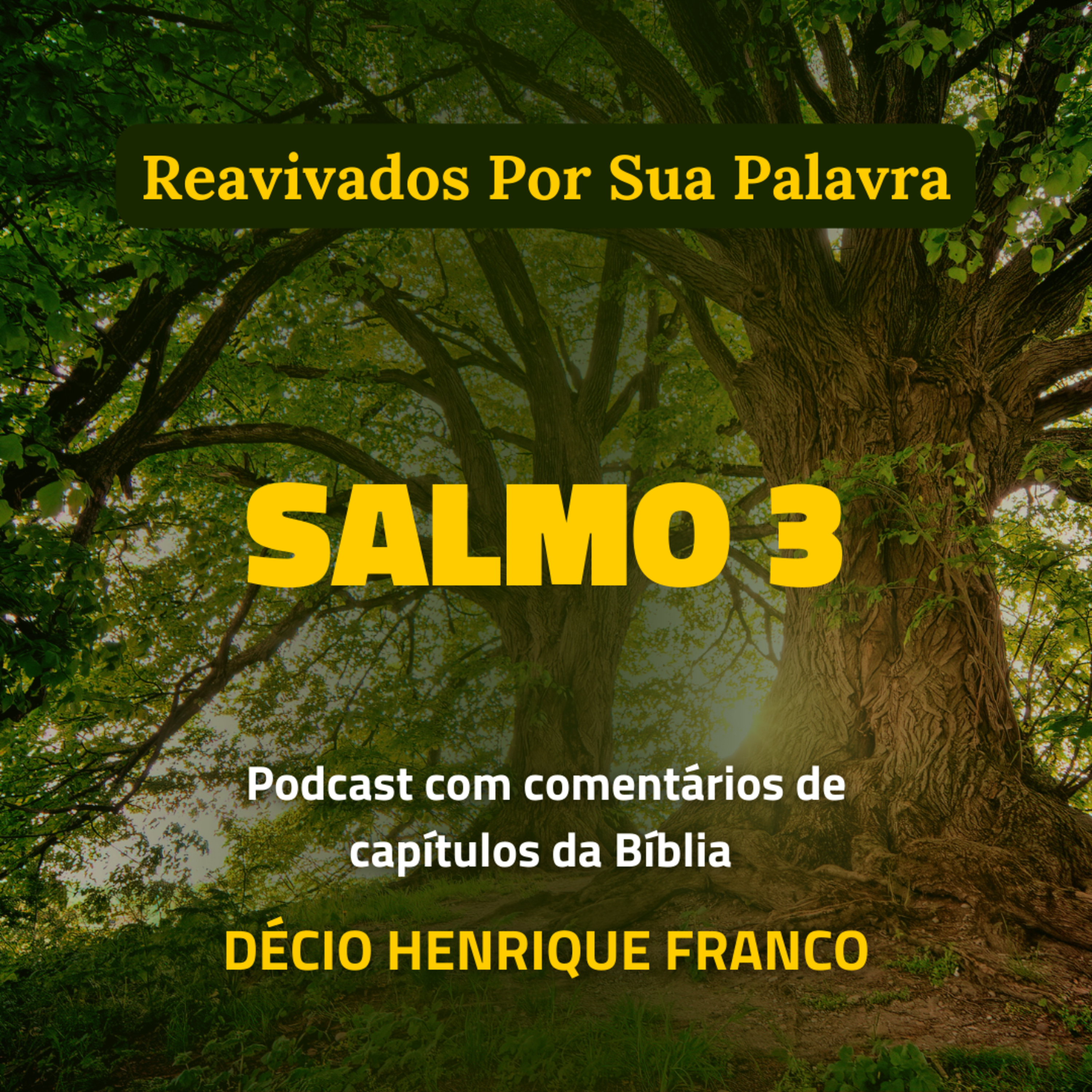 Salmo 3 Reavivados Por Sua Palavra #rpsp Podcast com comentários de capítulos da Bíblia. Décio Henrique Franco episode artwork