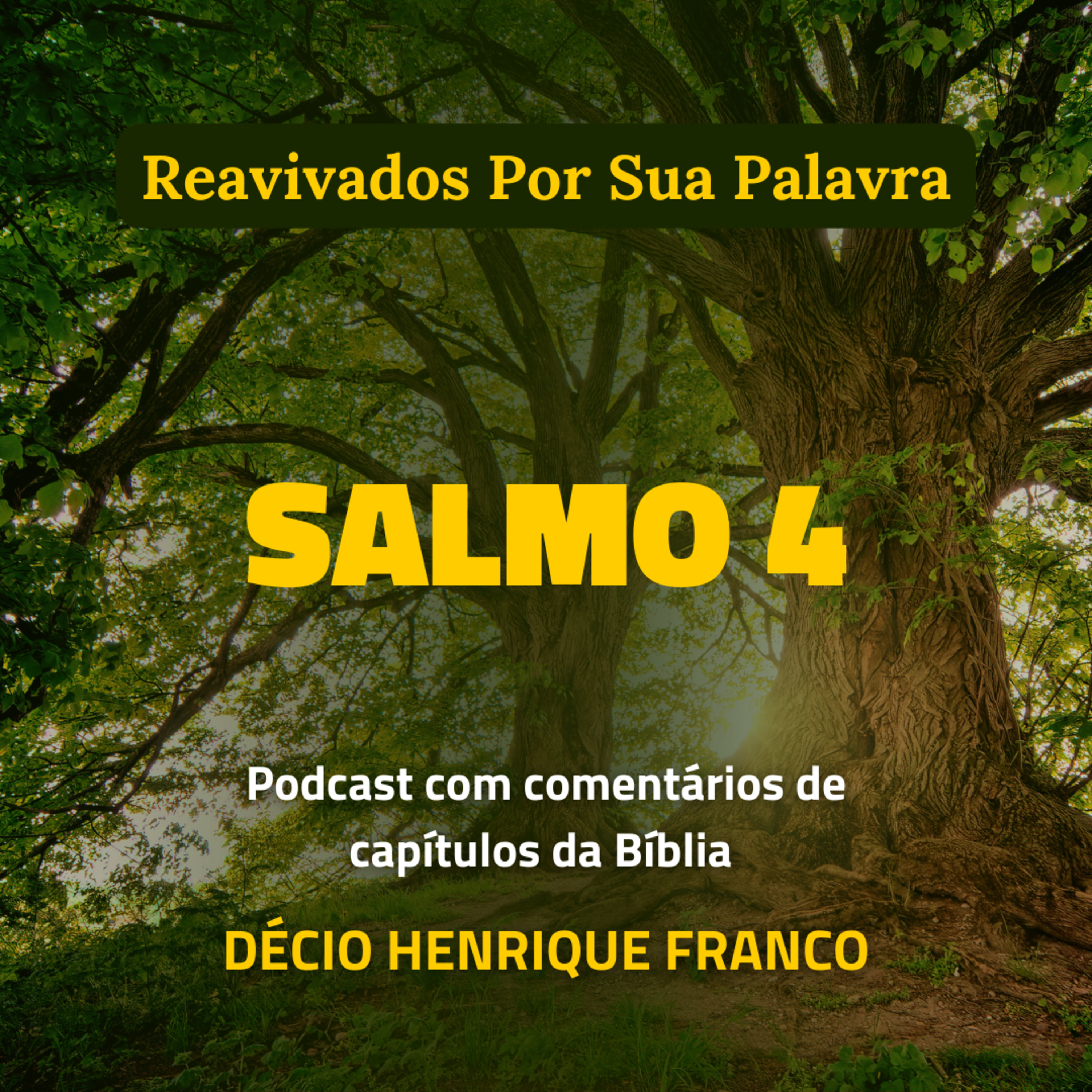Salmo 4 Reavivados Por Sua Palavra #rpsp Podcast com comentários de capítulos da Bíblia. Décio Henrique Franco episode artwork
