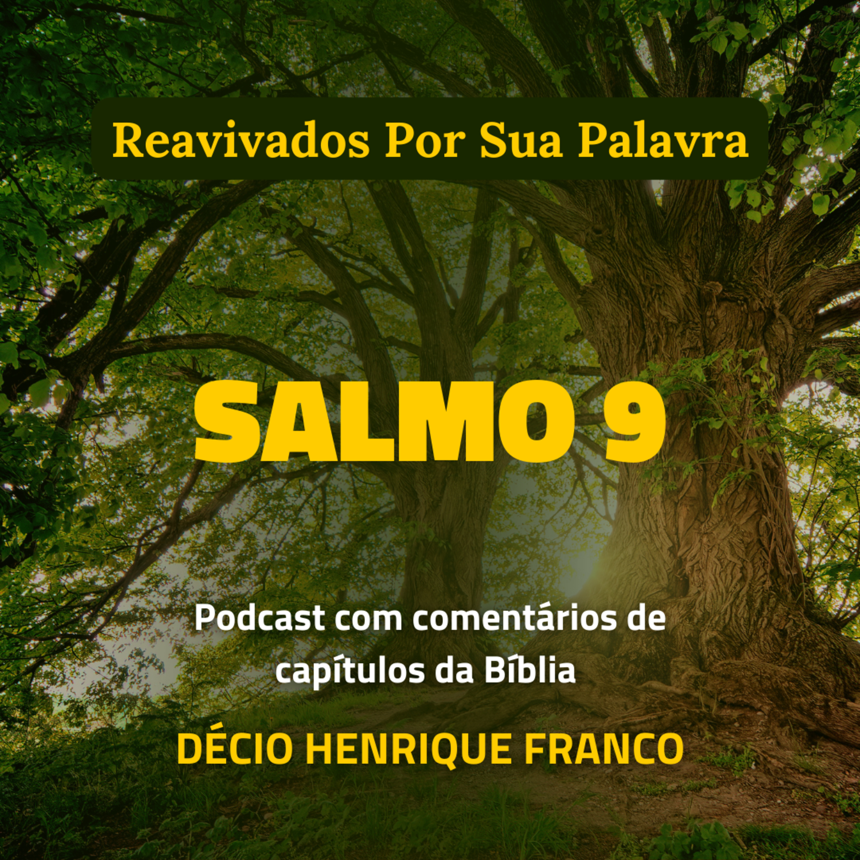 Salmo 9 Reavivados Por Sua Palavra #rpsp Podcast com comentários de capítulos da Bíblia. Décio Henrique Franco episode artwork