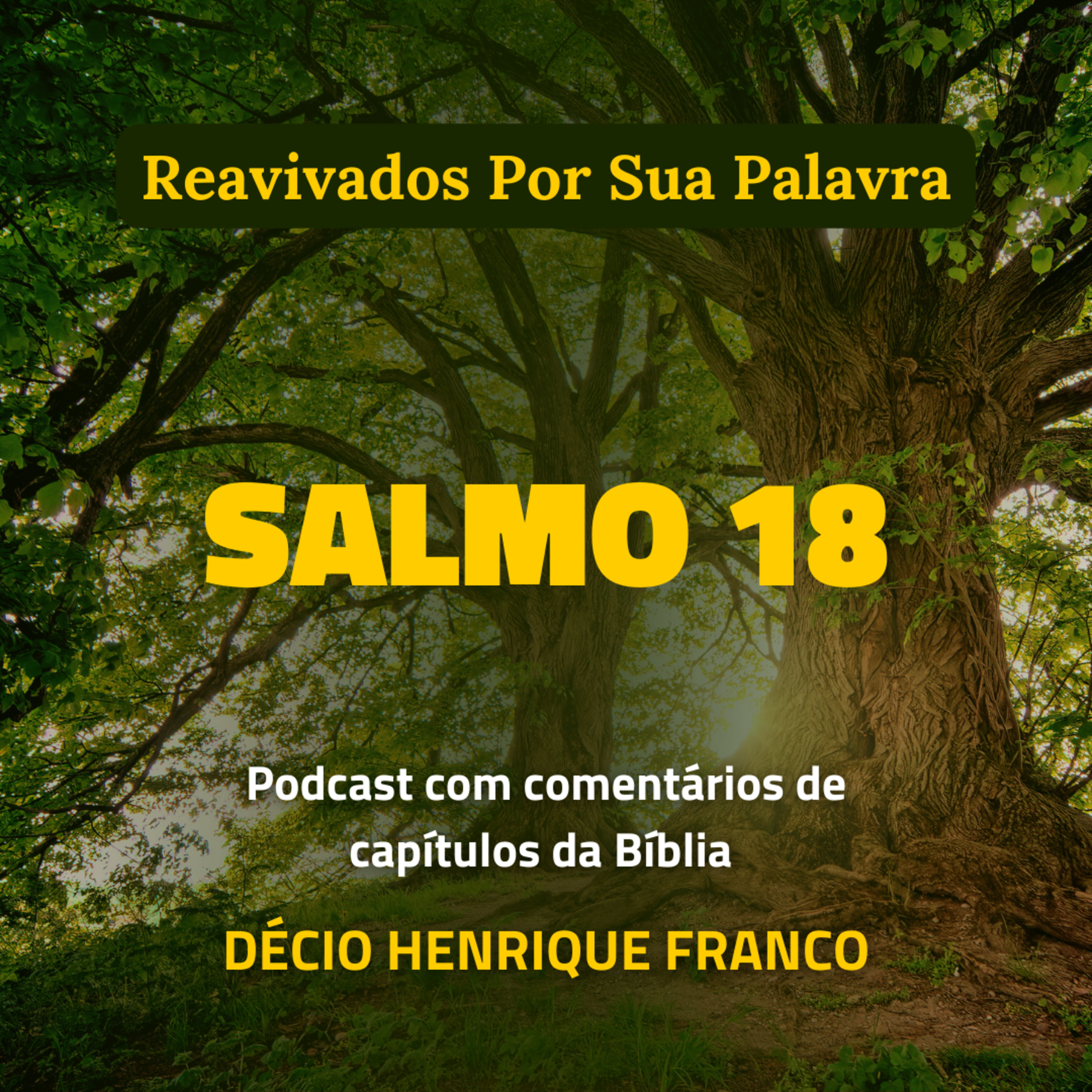 Salmo 18 Reavivados Por Sua Palavra #rpsp Podcast com comentários de capítulos da Bíblia. Décio Henrique Franco episode artwork