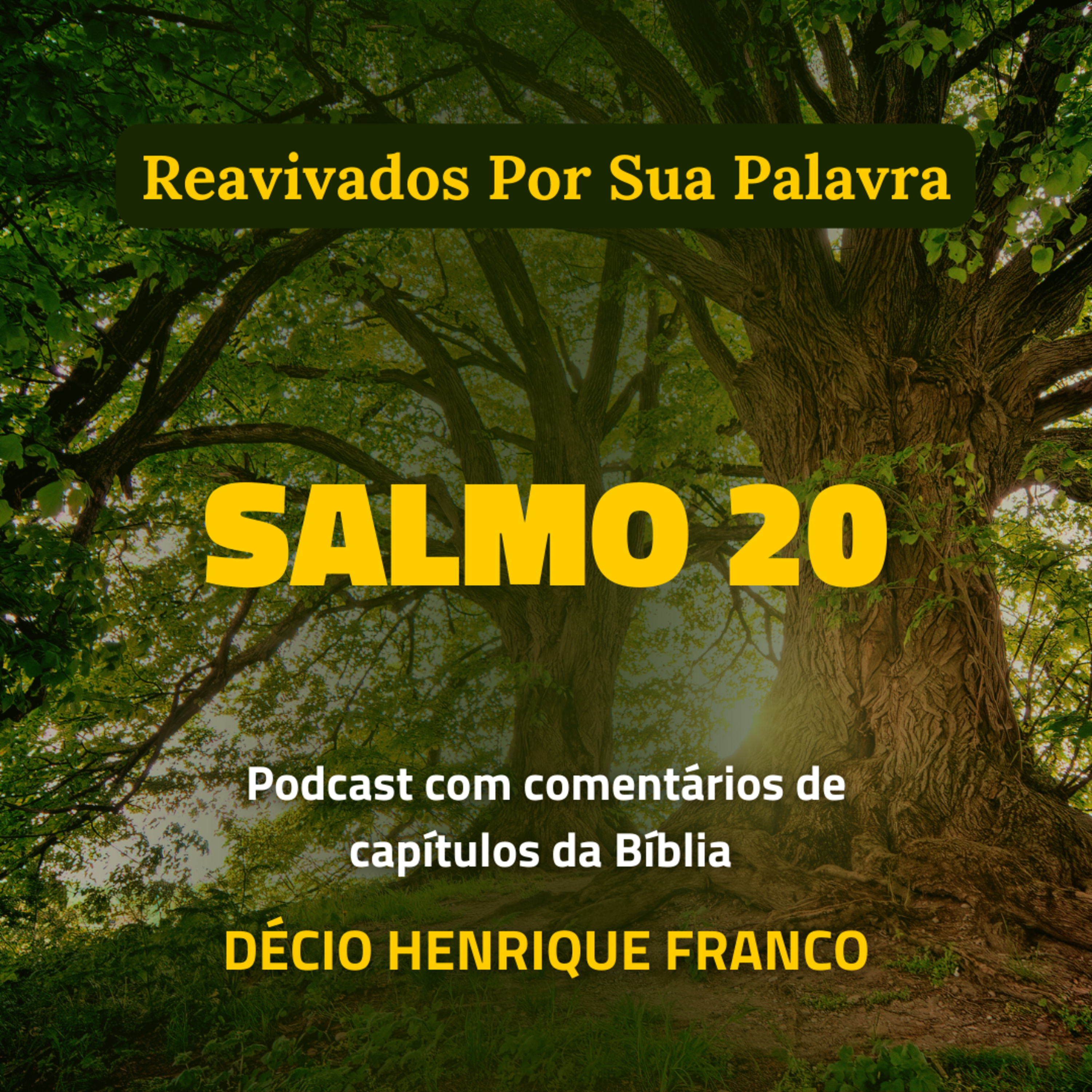 Salmo 20 Reavivados Por Sua Palavra #rpsp Podcast com comentários de capítulos da Bíblia. Décio Henrique Franco episode artwork