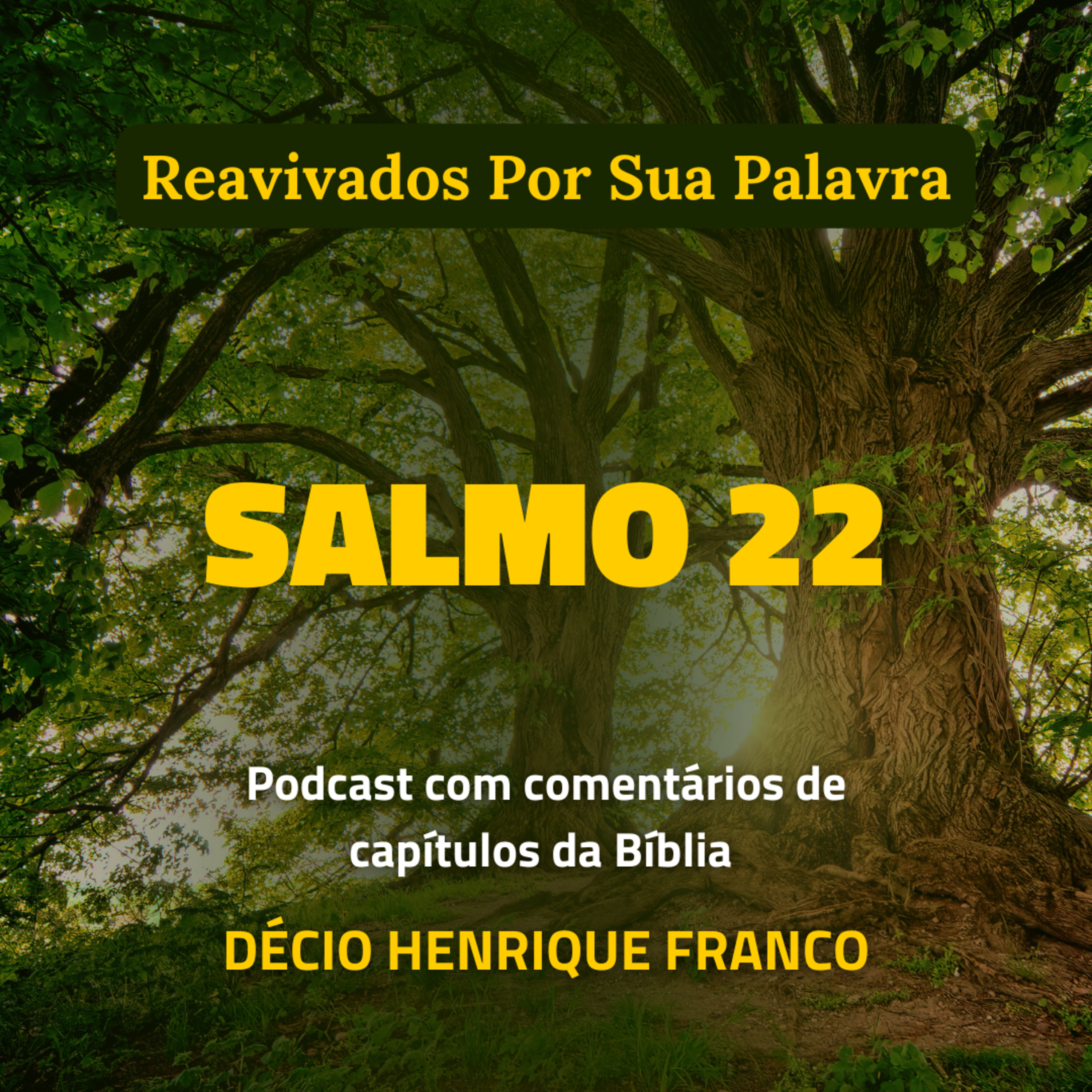 Salmo 22 Reavivados Por Sua Palavra #rpsp Podcast com comentários de capítulos da Bíblia. Décio Henrique Franco episode artwork