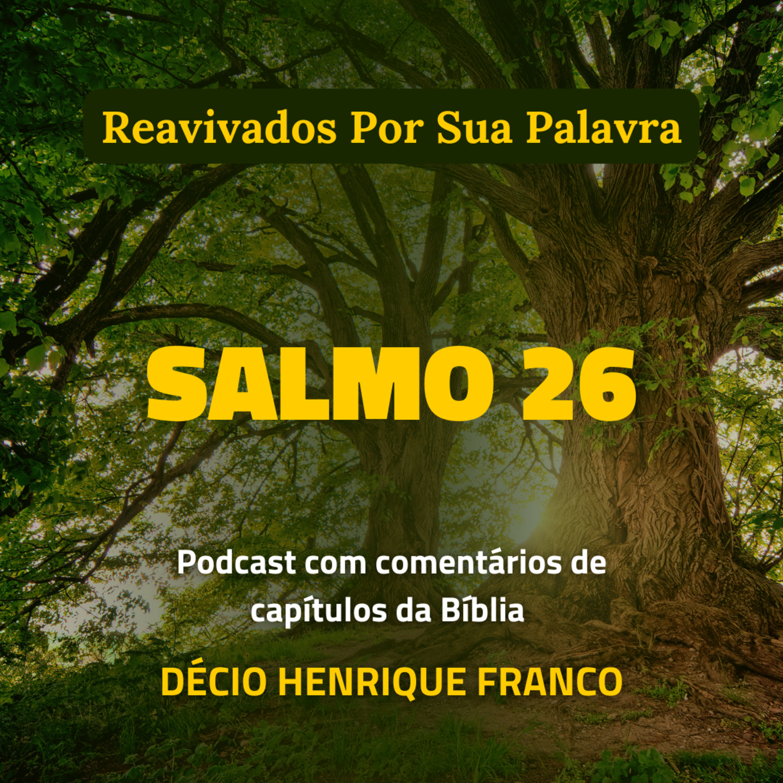 Salmo 26 Reavivados Por Sua Palavra #rpsp Podcast com comentários de capítulos da Bíblia. Décio Henrique Franco episode artwork