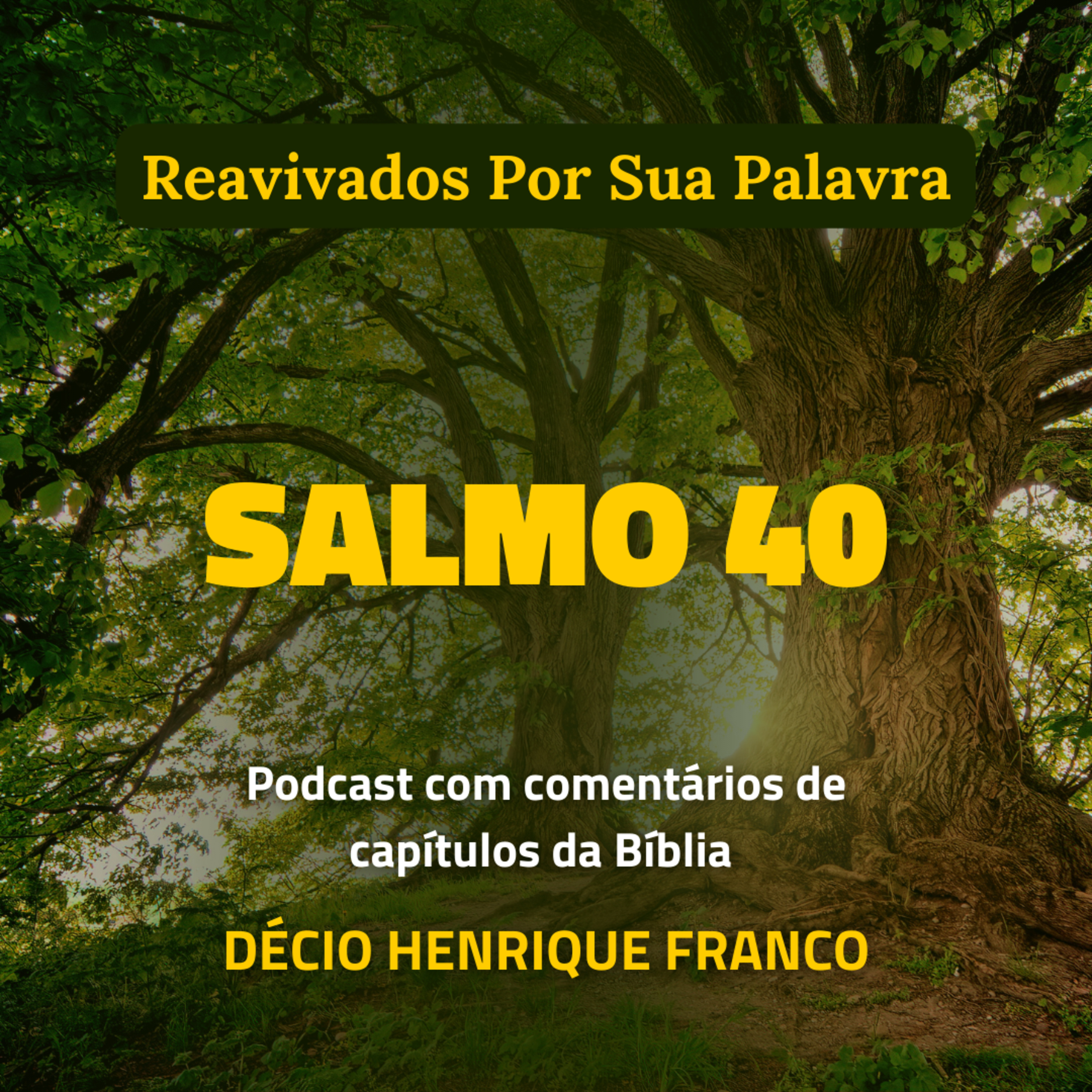 Salmo 40 Reavivados Por Sua Palavra #rpsp Podcast com comentários de capítulos da Bíblia. Décio Henrique Franco episode artwork