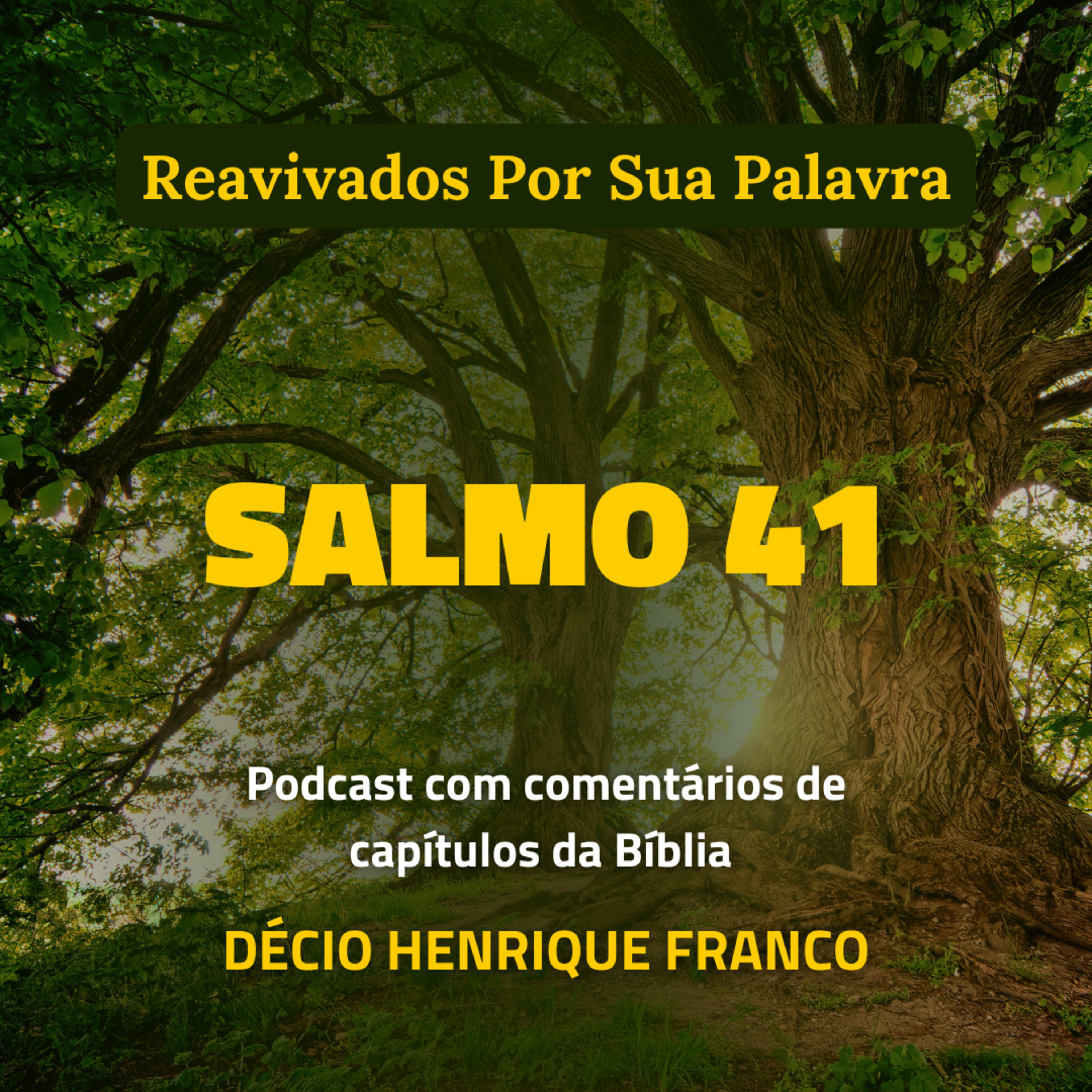 Salmo 41 Reavivados Por Sua Palavra #rpsp Podcast com comentários de capítulos da Bíblia. Décio Henrique Franco episode artwork