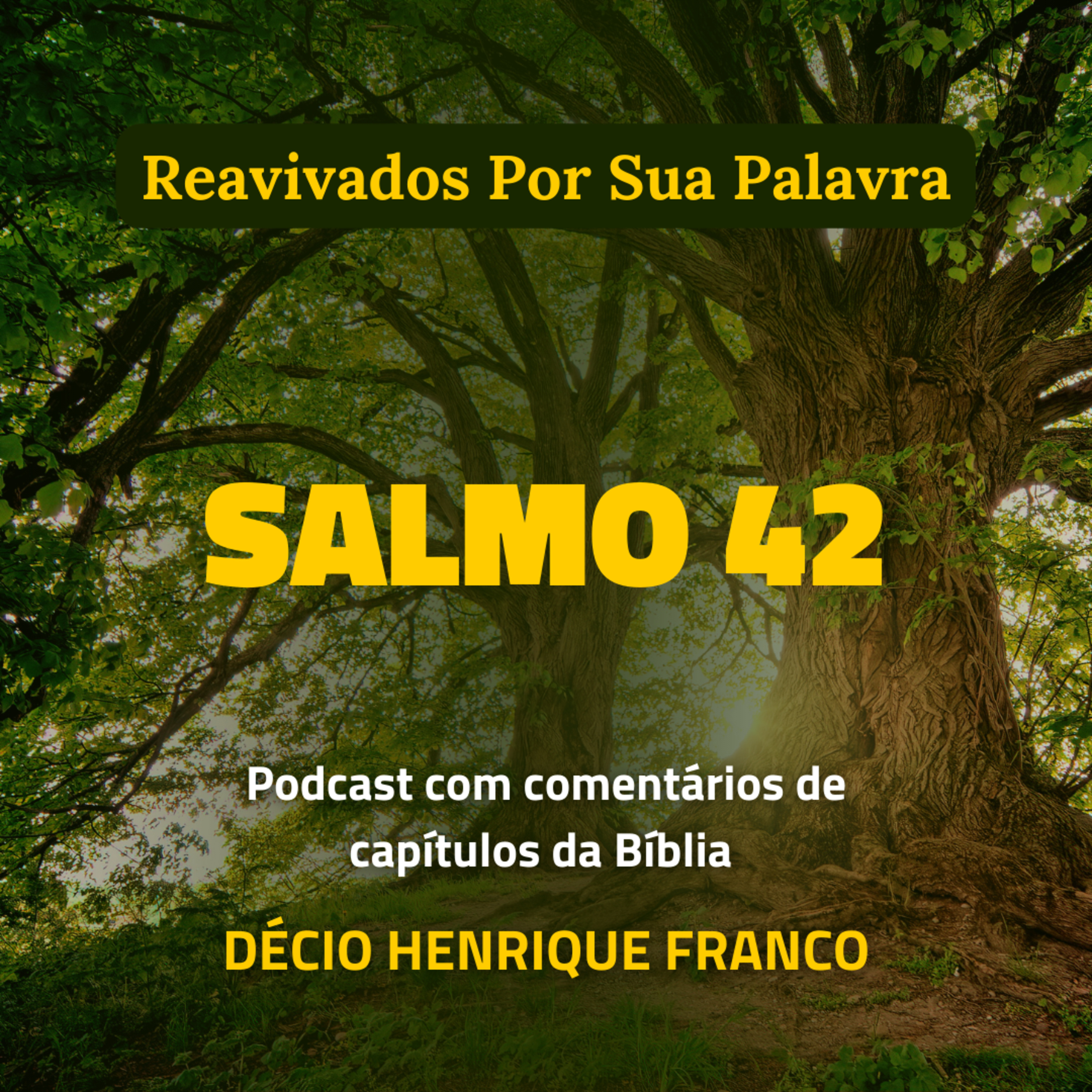 Salmo 42 Reavivados Por Sua Palavra #rpsp Podcast com comentários de capítulos da Bíblia. Décio Henrique Franco episode artwork