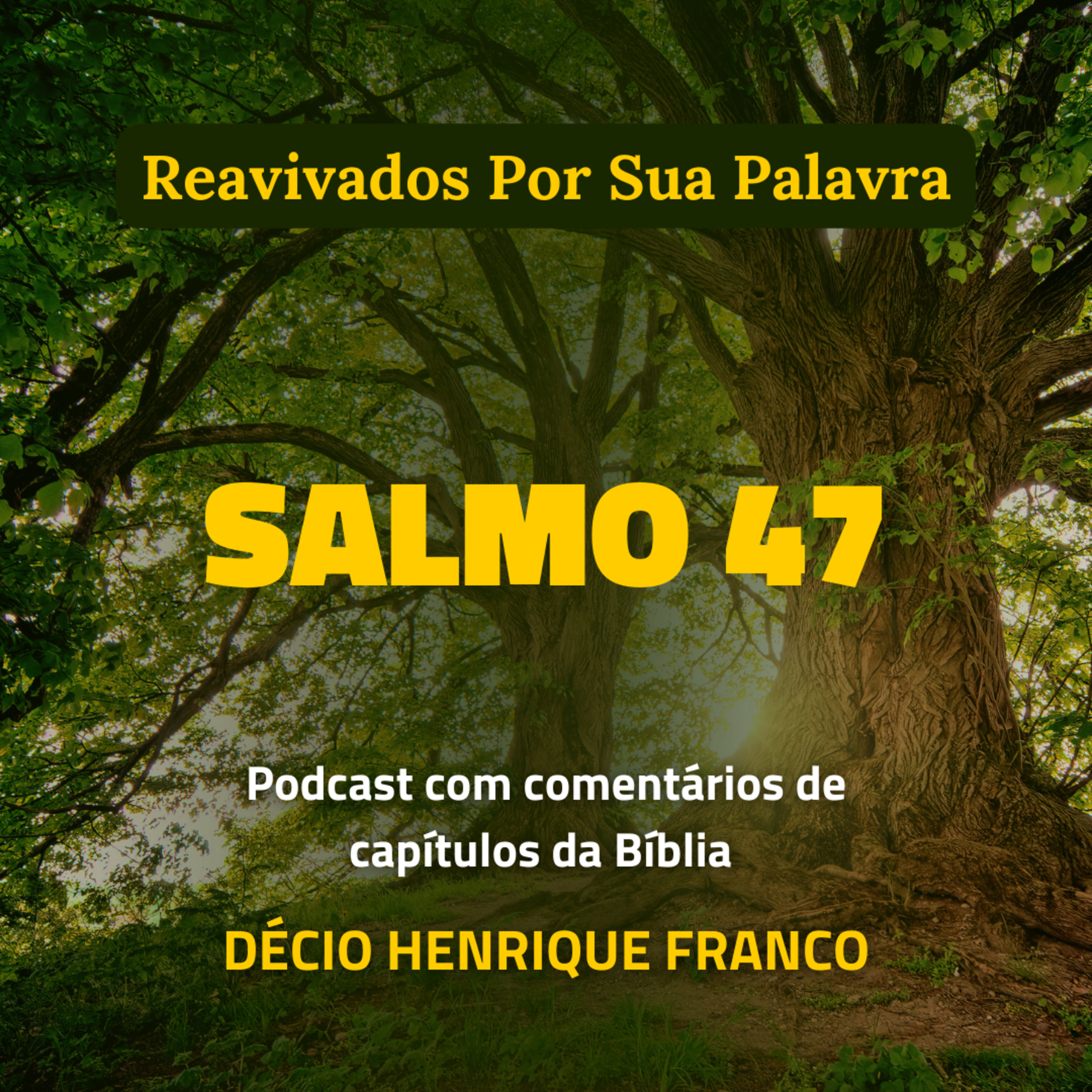 Salmo 47 Reavivados Por Sua Palavra #rpsp Podcast com comentários de capítulos da Bíblia. Décio Henrique Franco episode artwork