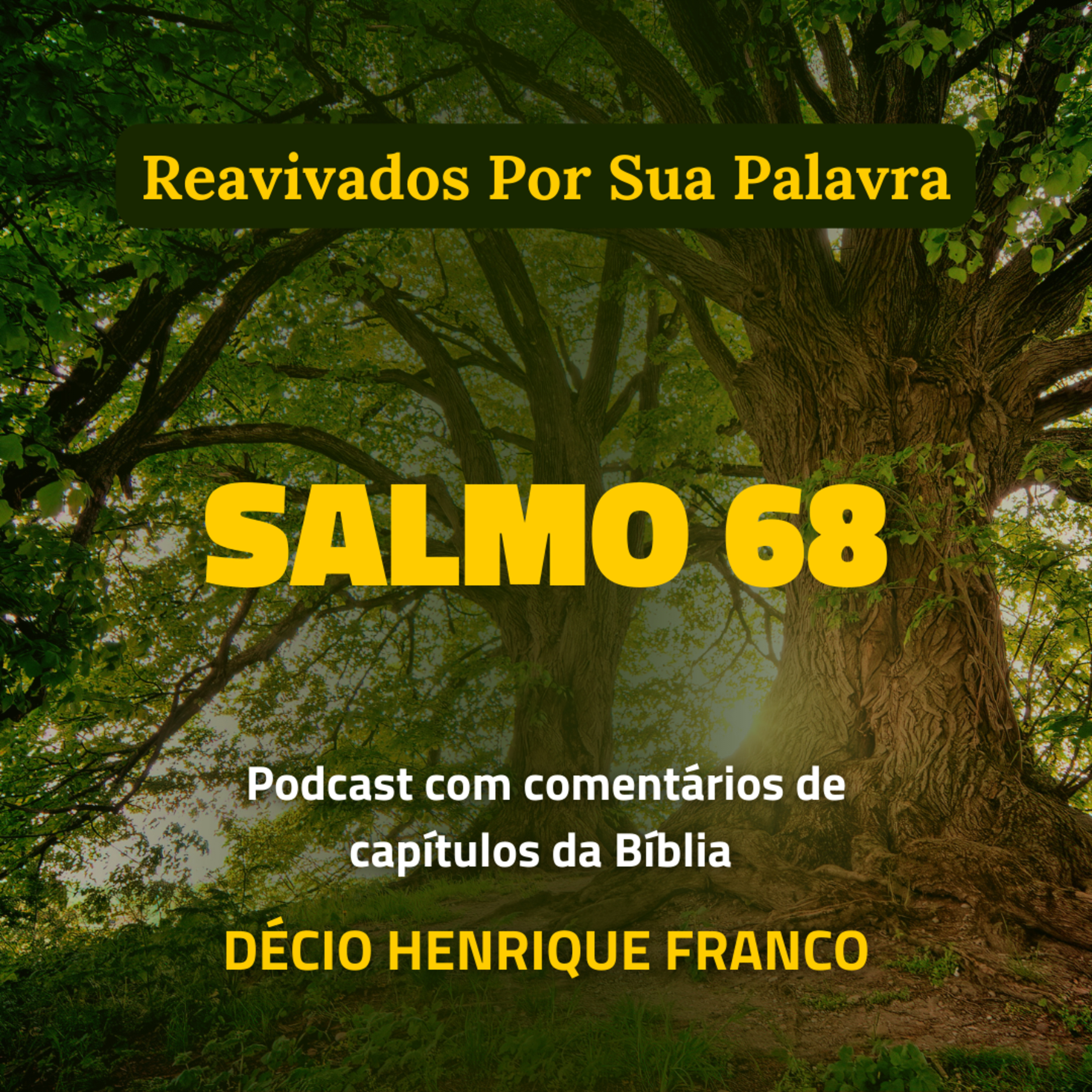 Salmo 68 Reavivados Por Sua Palavra #rpsp Podcast com comentários de capítulos da Bíblia. Décio Henrique Franco episode artwork