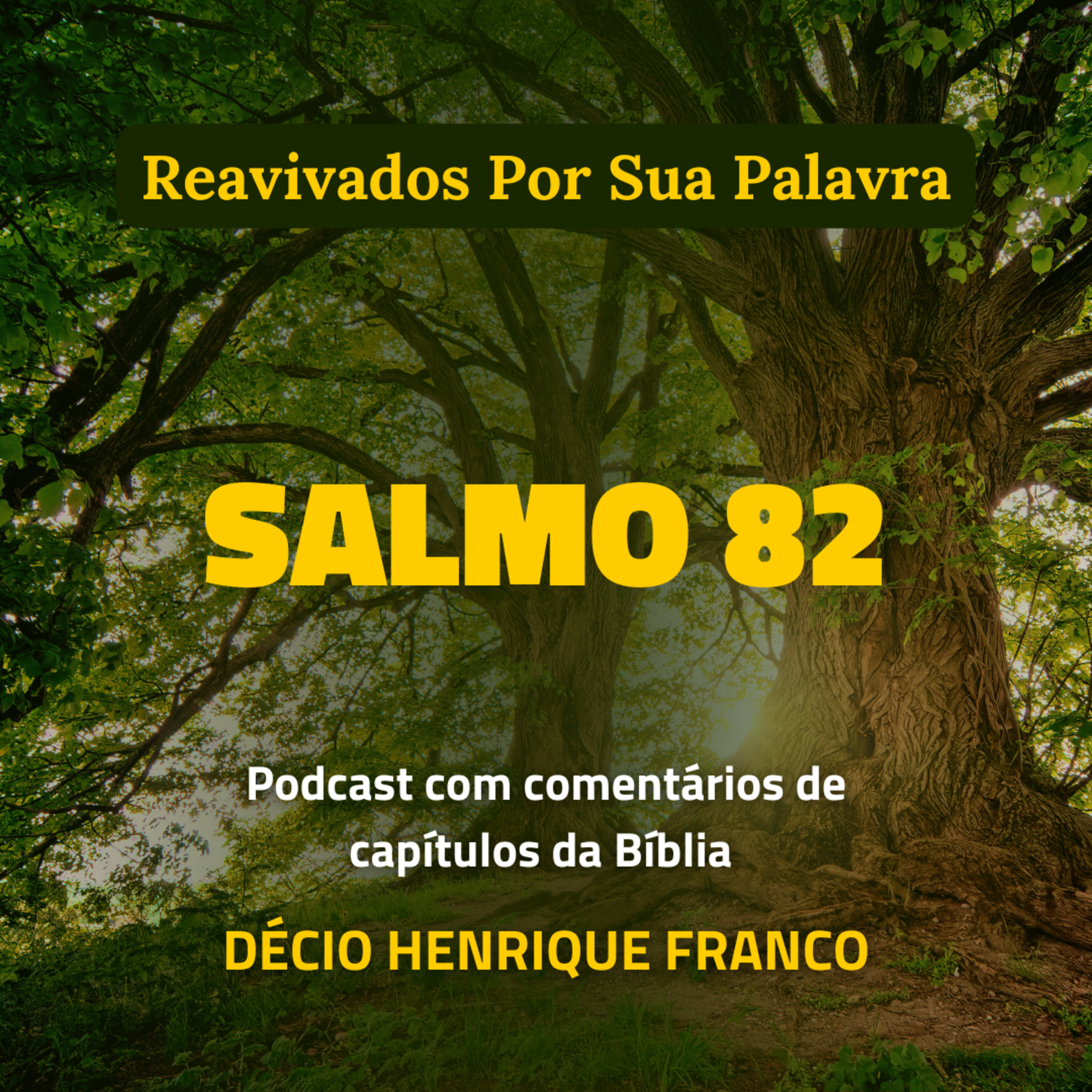 Salmo 82 Reavivados Por Sua Palavra #rpsp Podcast com comentários de capítulos da Bíblia. Décio Henrique Franco episode artwork