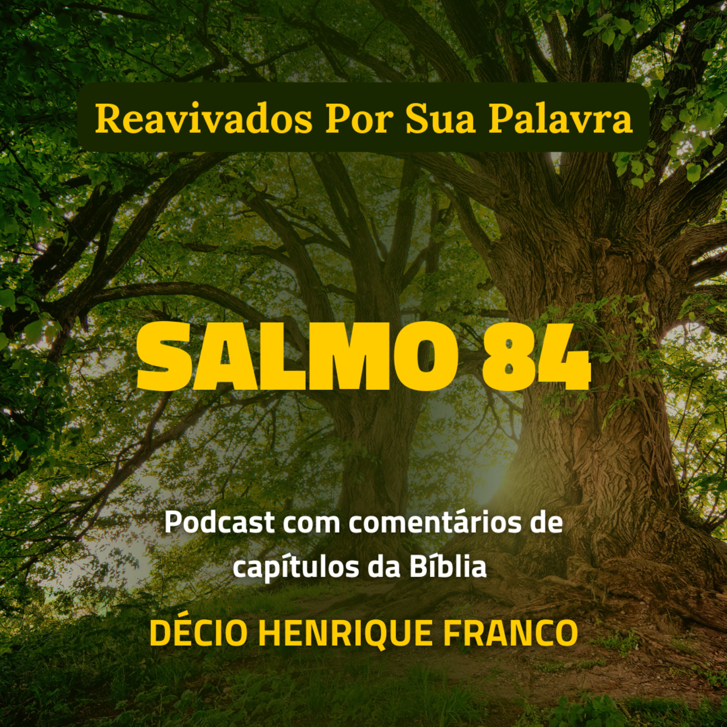 Salmo 84 Reavivados Por Sua Palavra #rpsp Podcast com comentários de capítulos da Bíblia. Décio Henrique Franco episode artwork