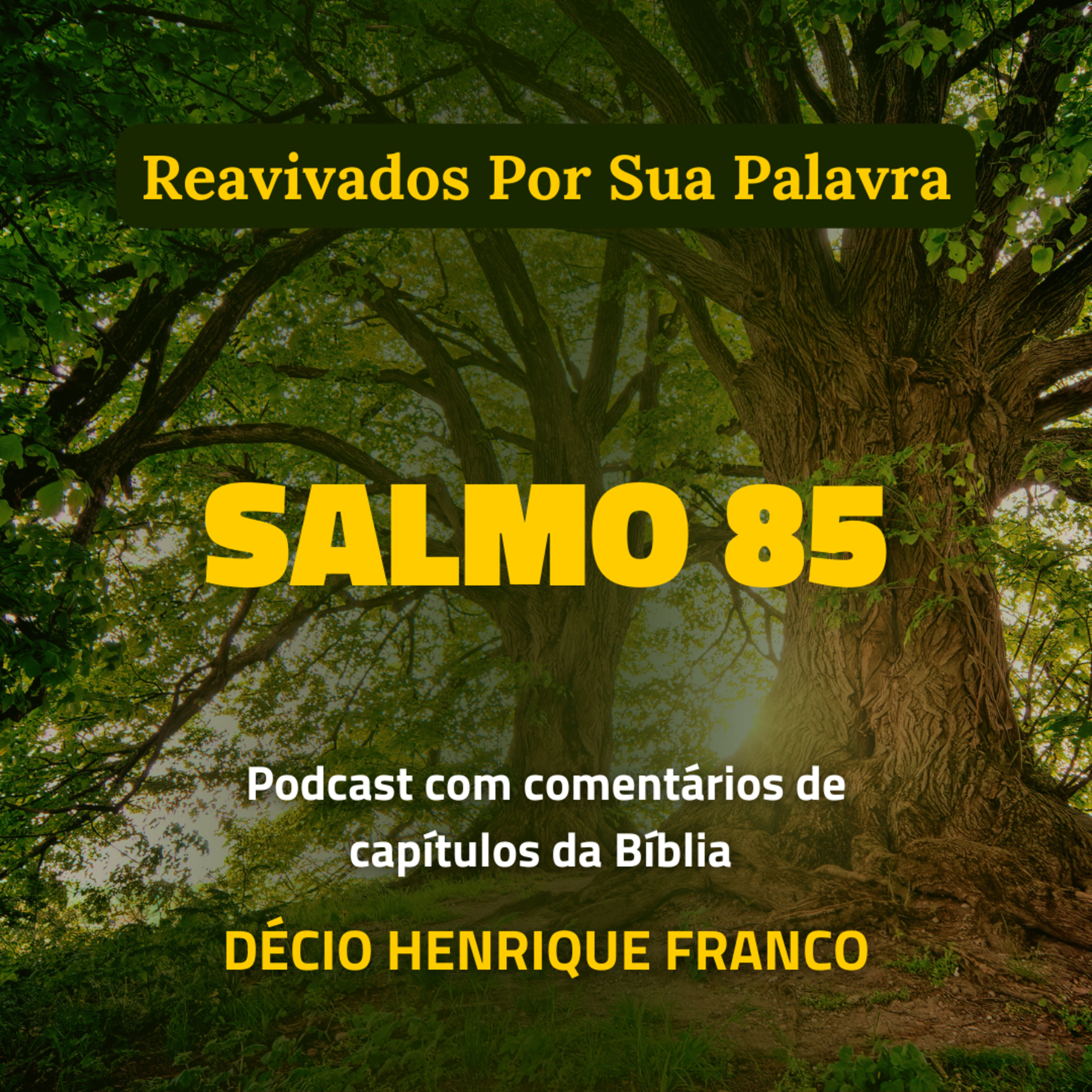Salmo 85 Reavivados Por Sua Palavra #rpsp Podcast com comentários de capítulos da Bíblia. Décio Henrique Franco episode artwork