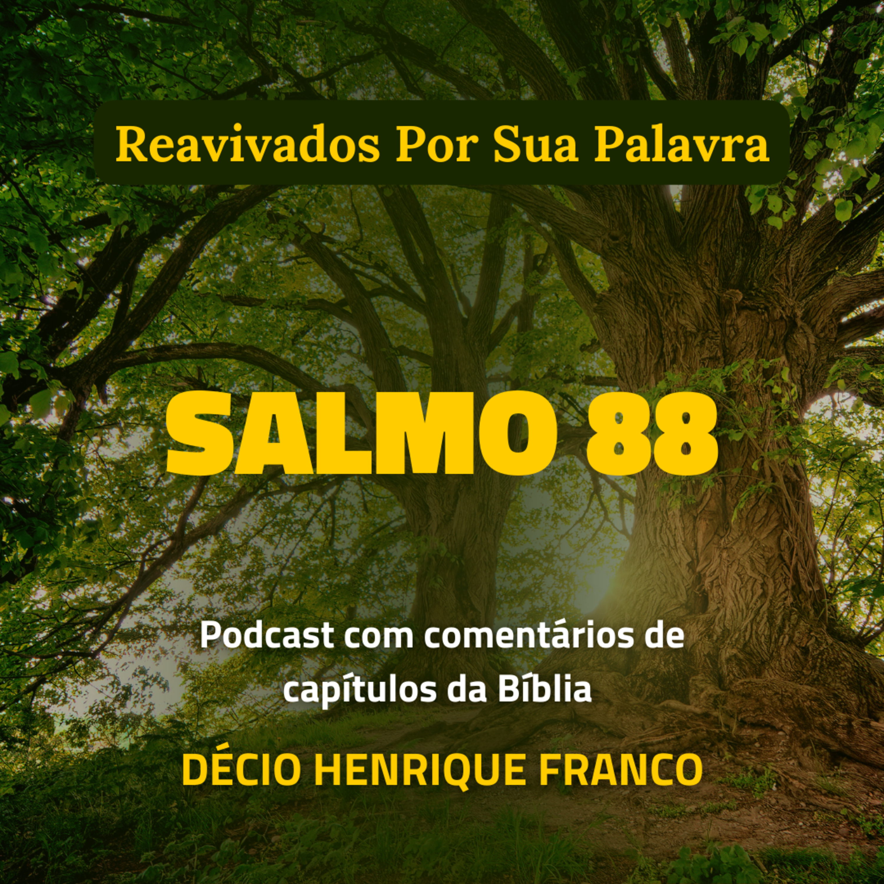 Salmo 88 Reavivados Por Sua Palavra #rpsp Podcast com comentários de capítulos da Bíblia. Décio Henrique Franco episode artwork