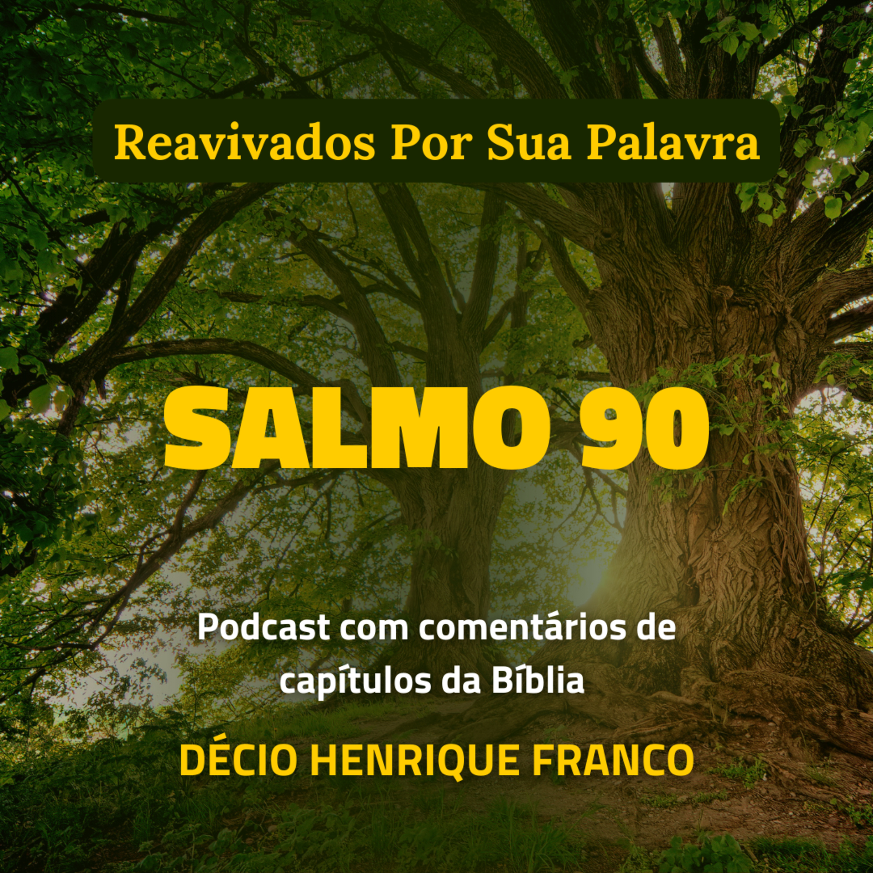 Salmo 90 Reavivados Por Sua Palavra #rpsp Podcast com comentários de capítulos da Bíblia. Décio Henrique Franco episode artwork