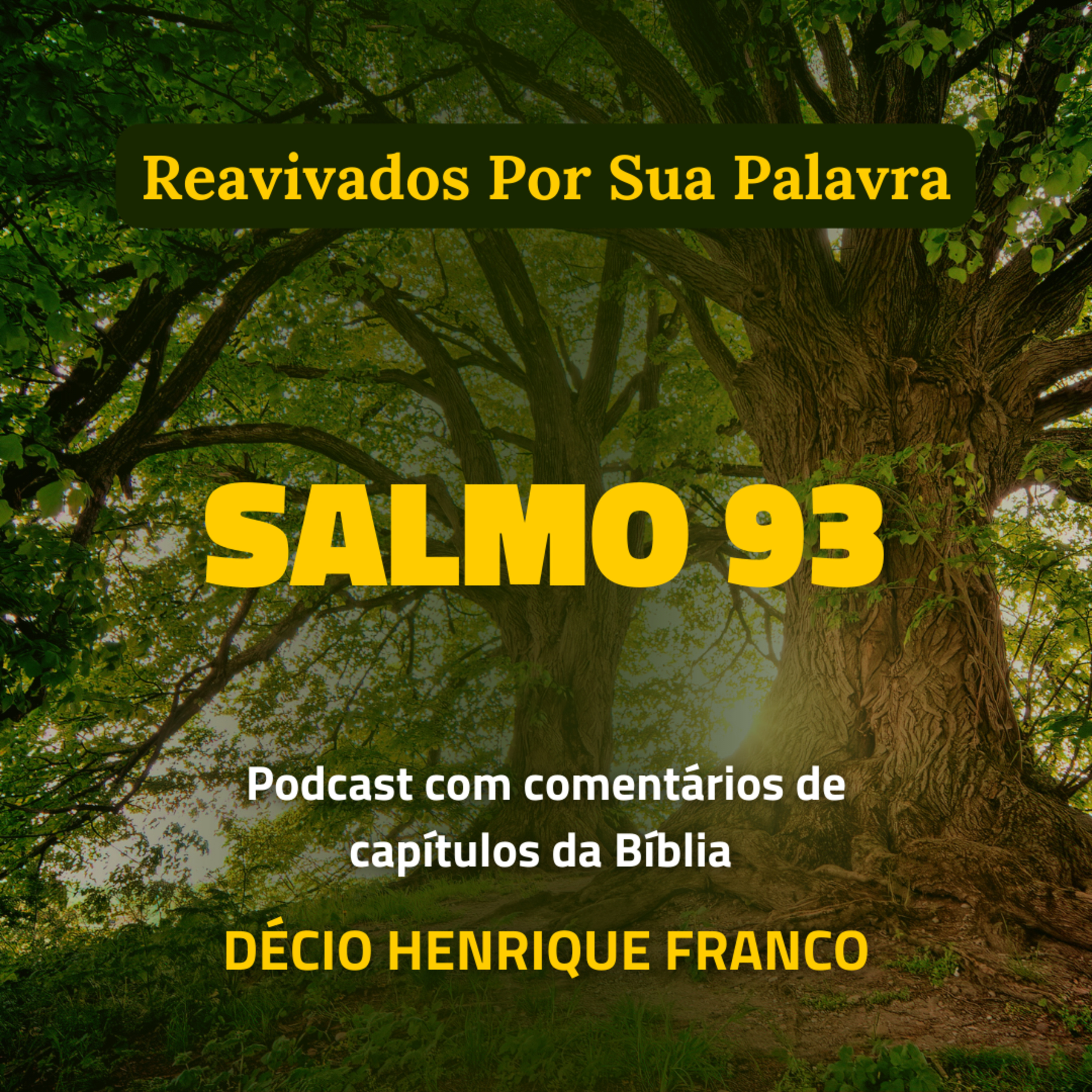 Salmo 93 Reavivados Por Sua Palavra #rpsp Podcast com comentários de capítulos da Bíblia. Décio Henrique Franco episode artwork