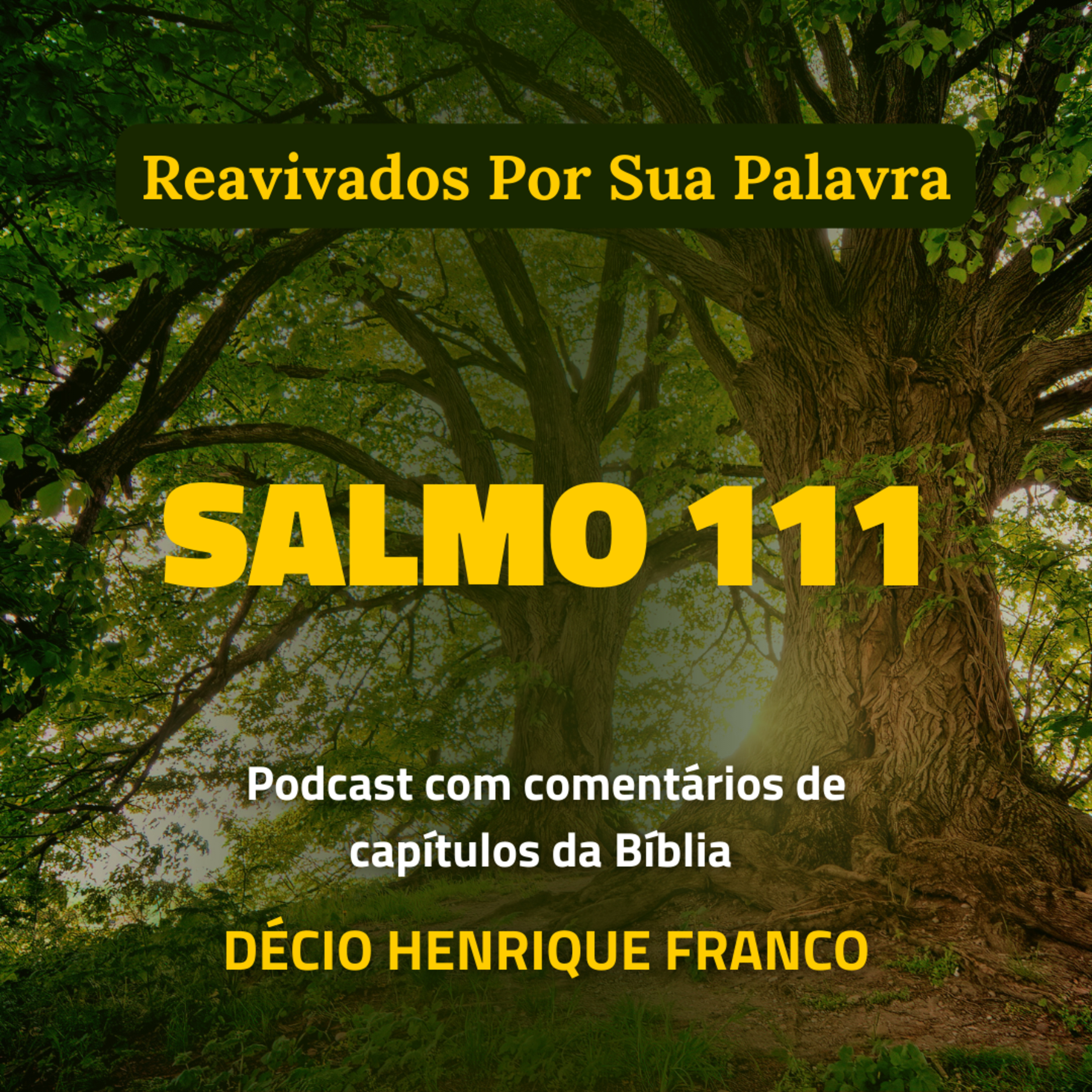 Salmo 111 Reavivados Por Sua Palavra #rpsp Podcast com comentários de capítulos da Bíblia. Décio Henrique Franco episode artwork