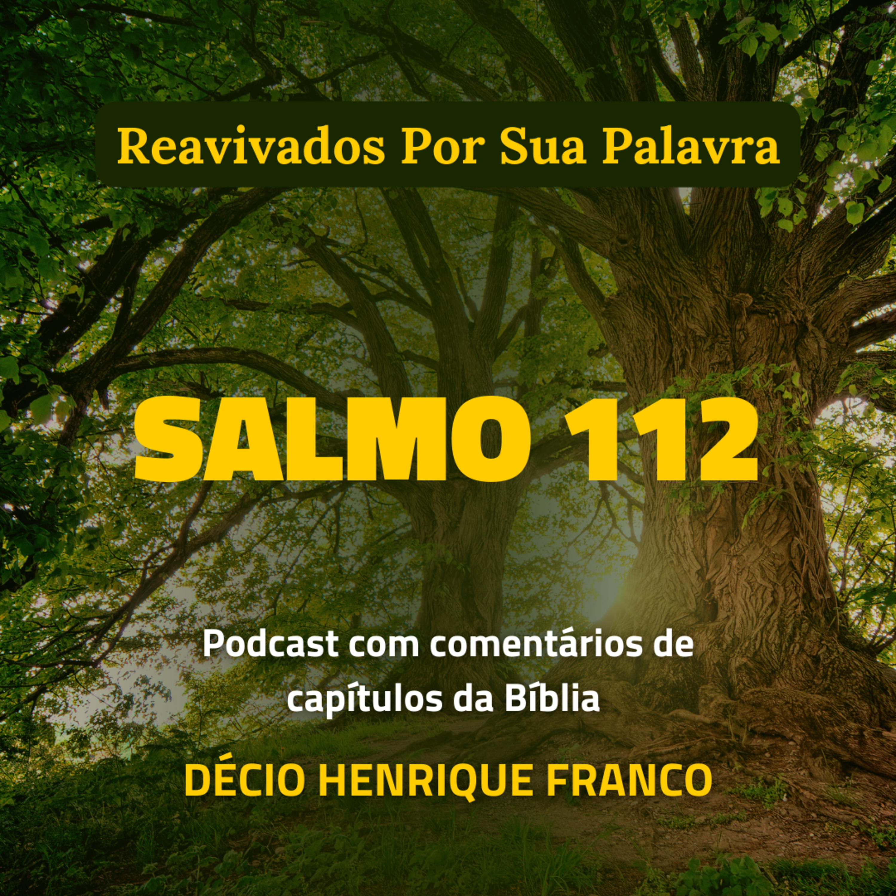 Salmo 112 Reavivados Por Sua Palavra #rpsp Podcast com comentários de capítulos da Bíblia. Décio Henrique Franco episode artwork