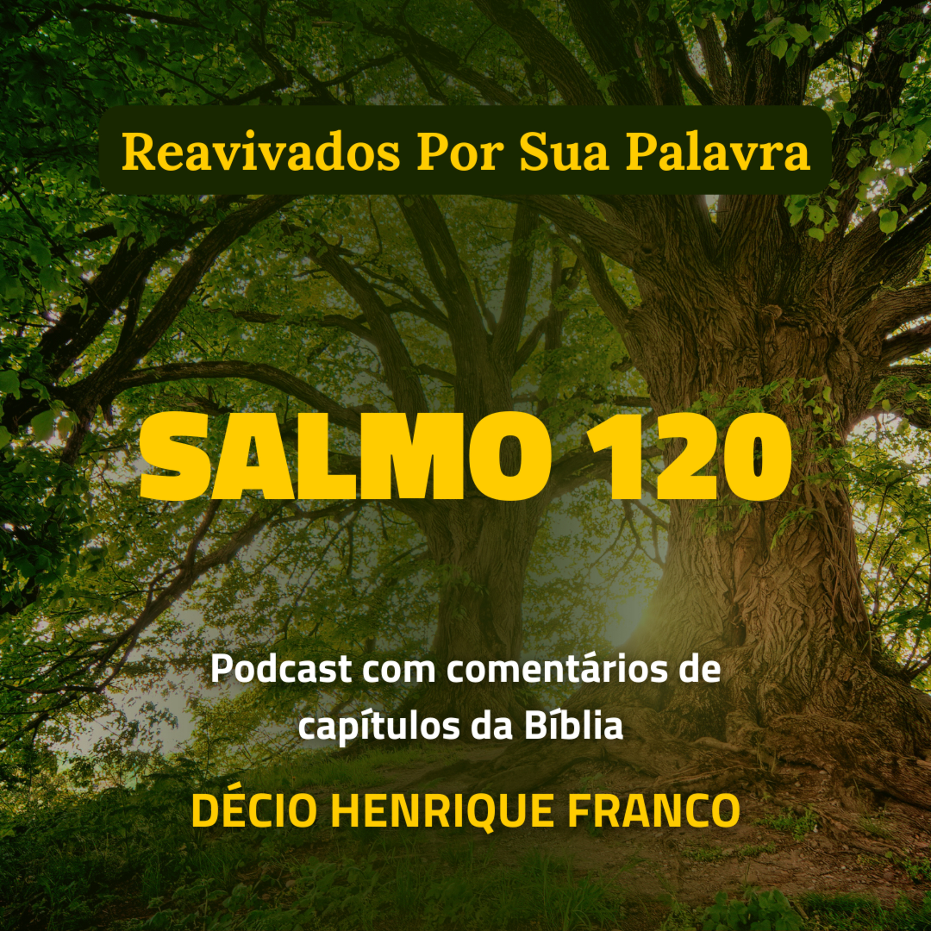 Salmo 120 Reavivados Por Sua Palavra #rpsp Podcast com comentários de capítulos da Bíblia. Décio Henrique Franco episode artwork