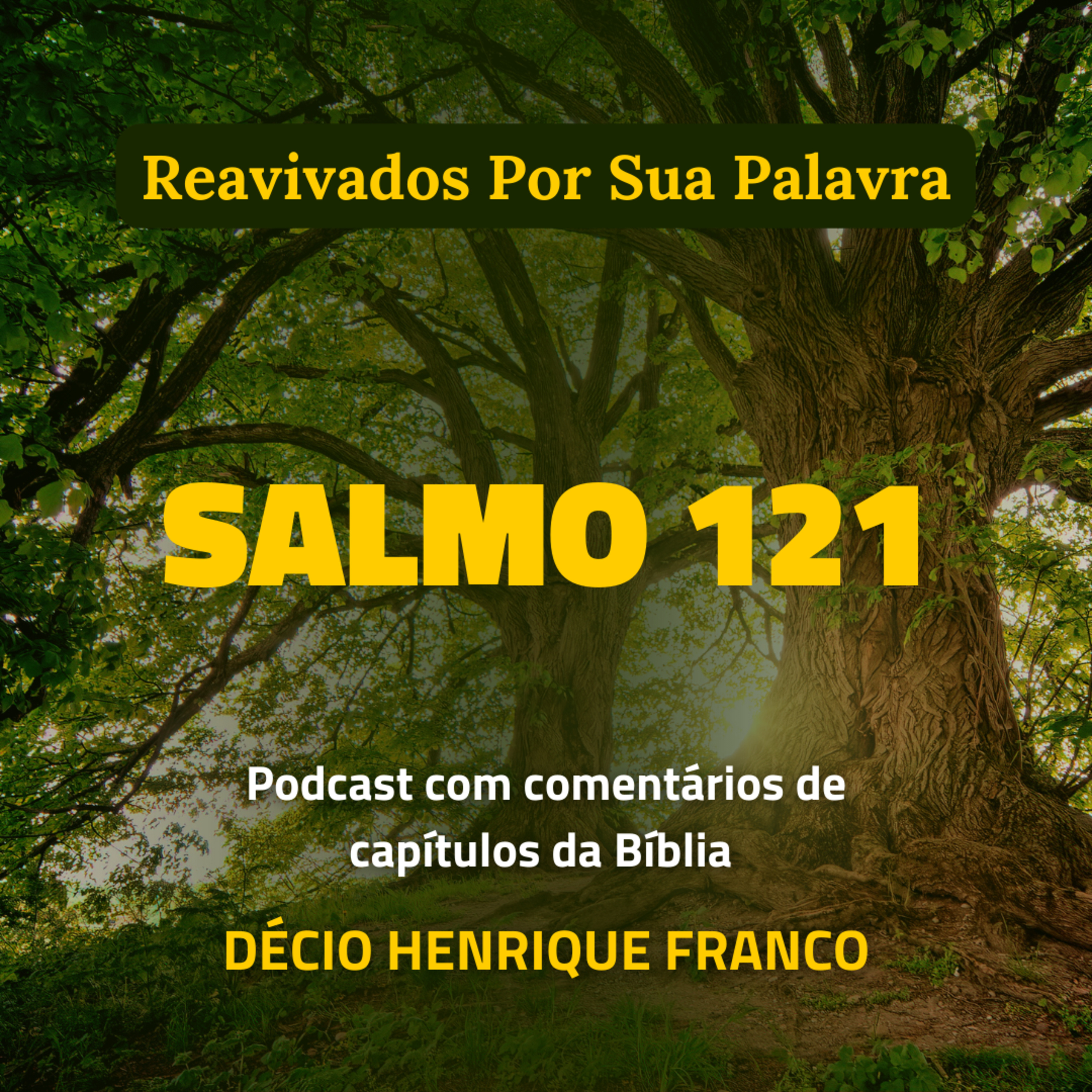Salmo 121 Reavivados Por Sua Palavra #rpsp Podcast com comentários de capítulos da Bíblia. Décio Henrique Franco episode artwork