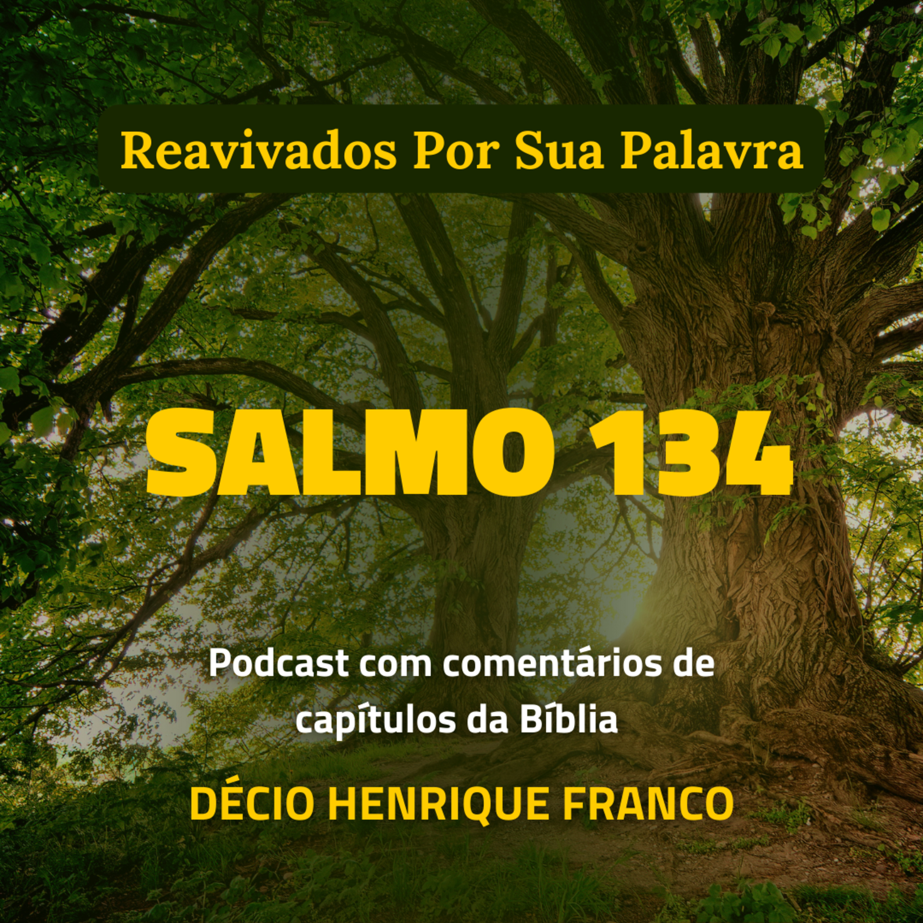 Salmo 134 Reavivados Por Sua Palavra #rpsp Podcast com comentários de capítulos da Bíblia. Décio Henrique Franco episode artwork